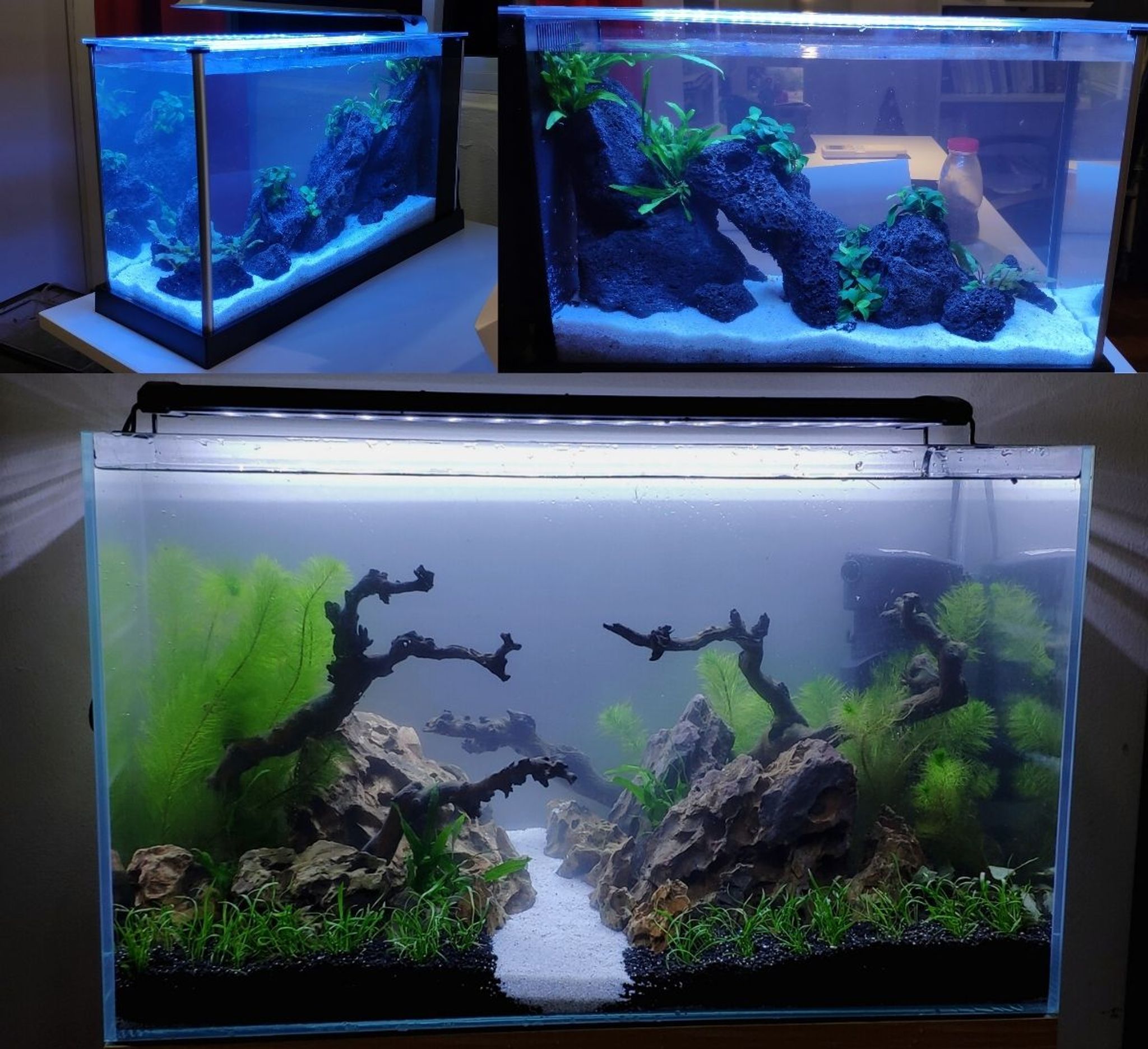 FishyHub Aquascaping for 1 feet tanks