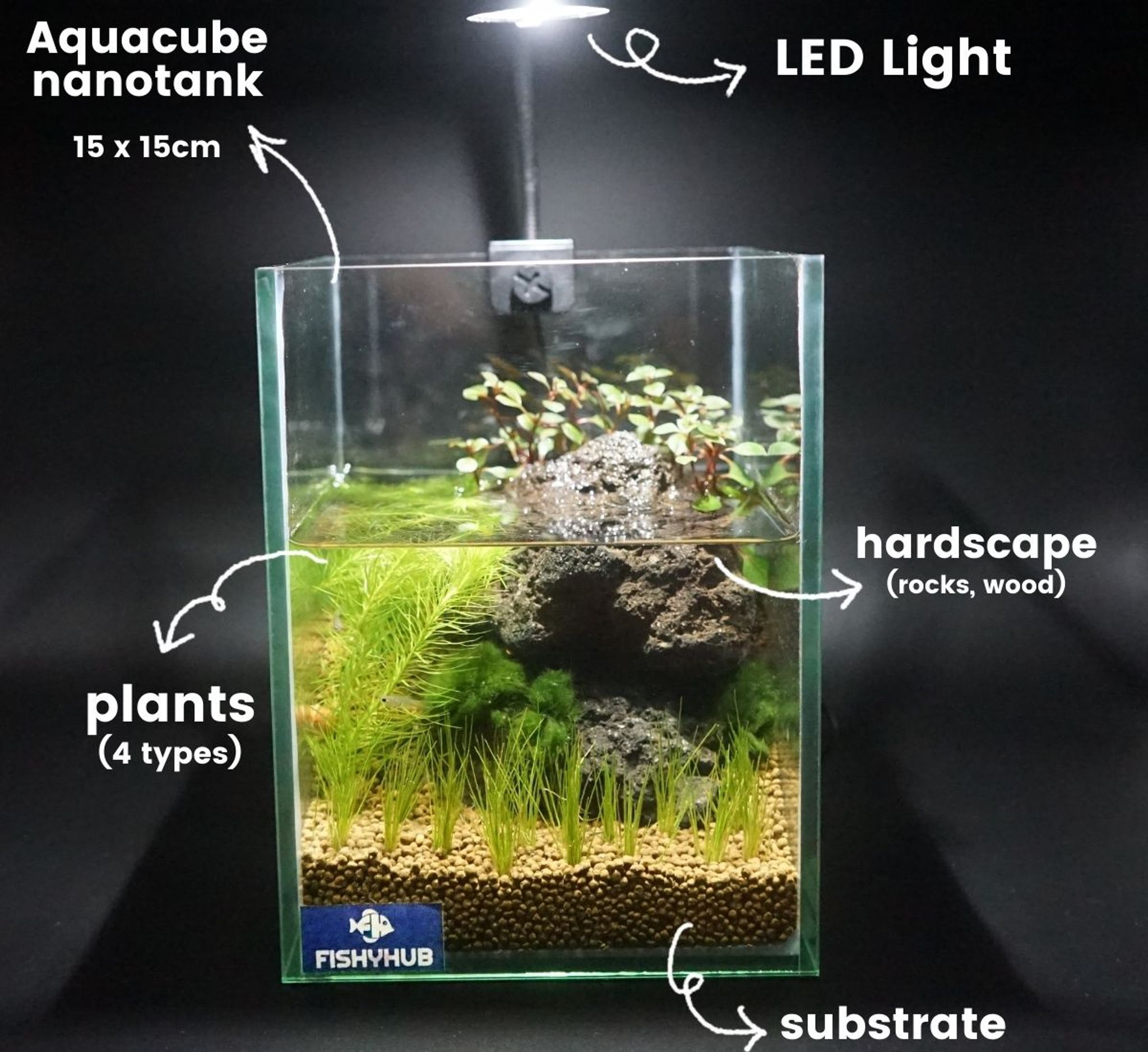Aquacube Set (0.5 feet)