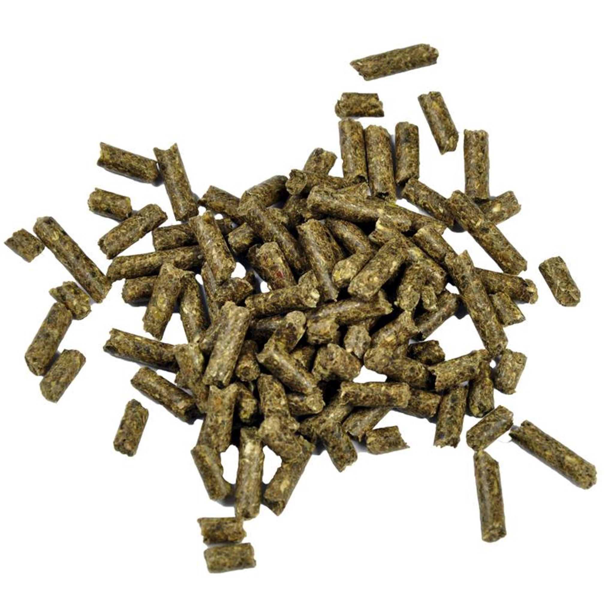 [Dr. Bassleer] SHRIMP STICKS Biofish Fish Food 60G
