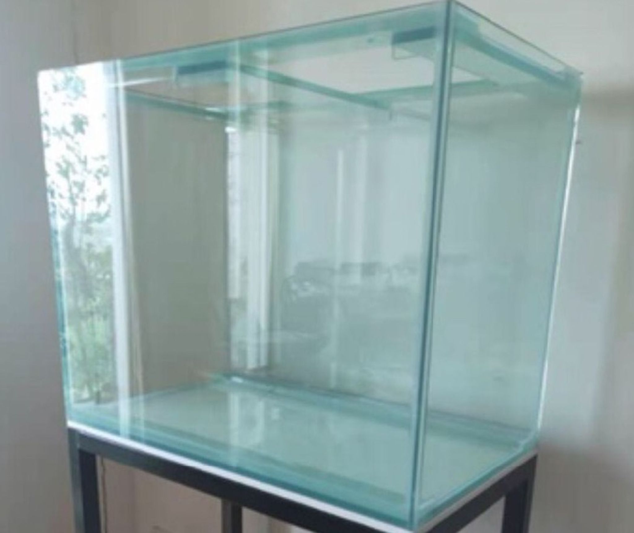 Custom Glass Tank (various dimensions)