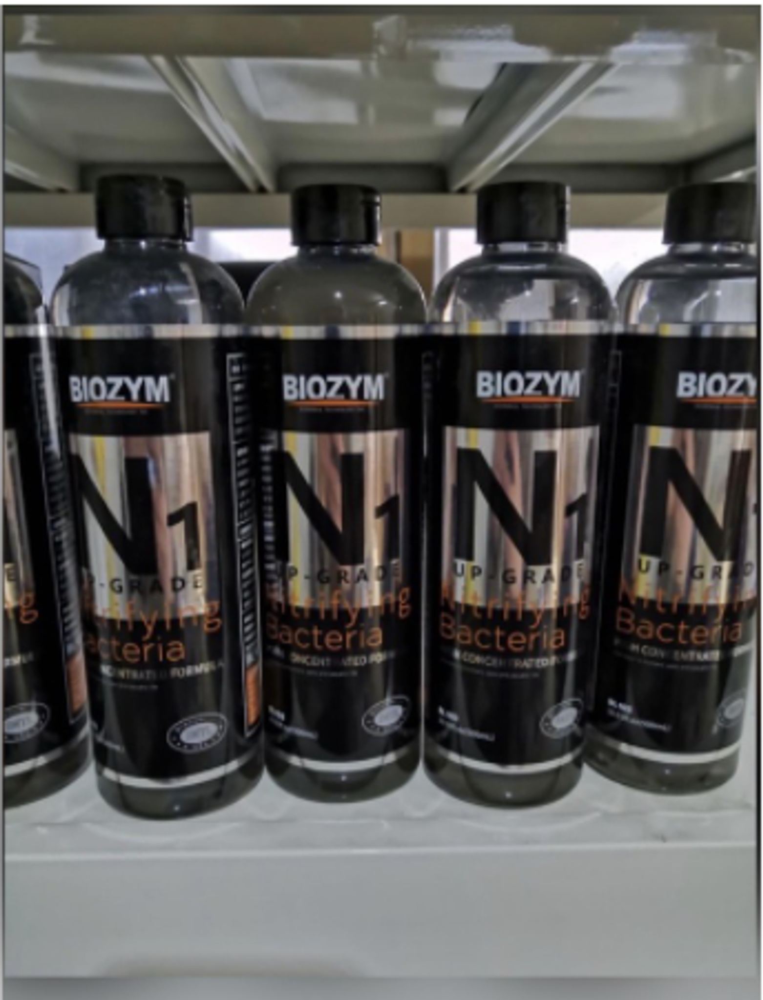 Biozym N1 Nitrification Bacteria Freshwater & Marine Aquarium 500ml
