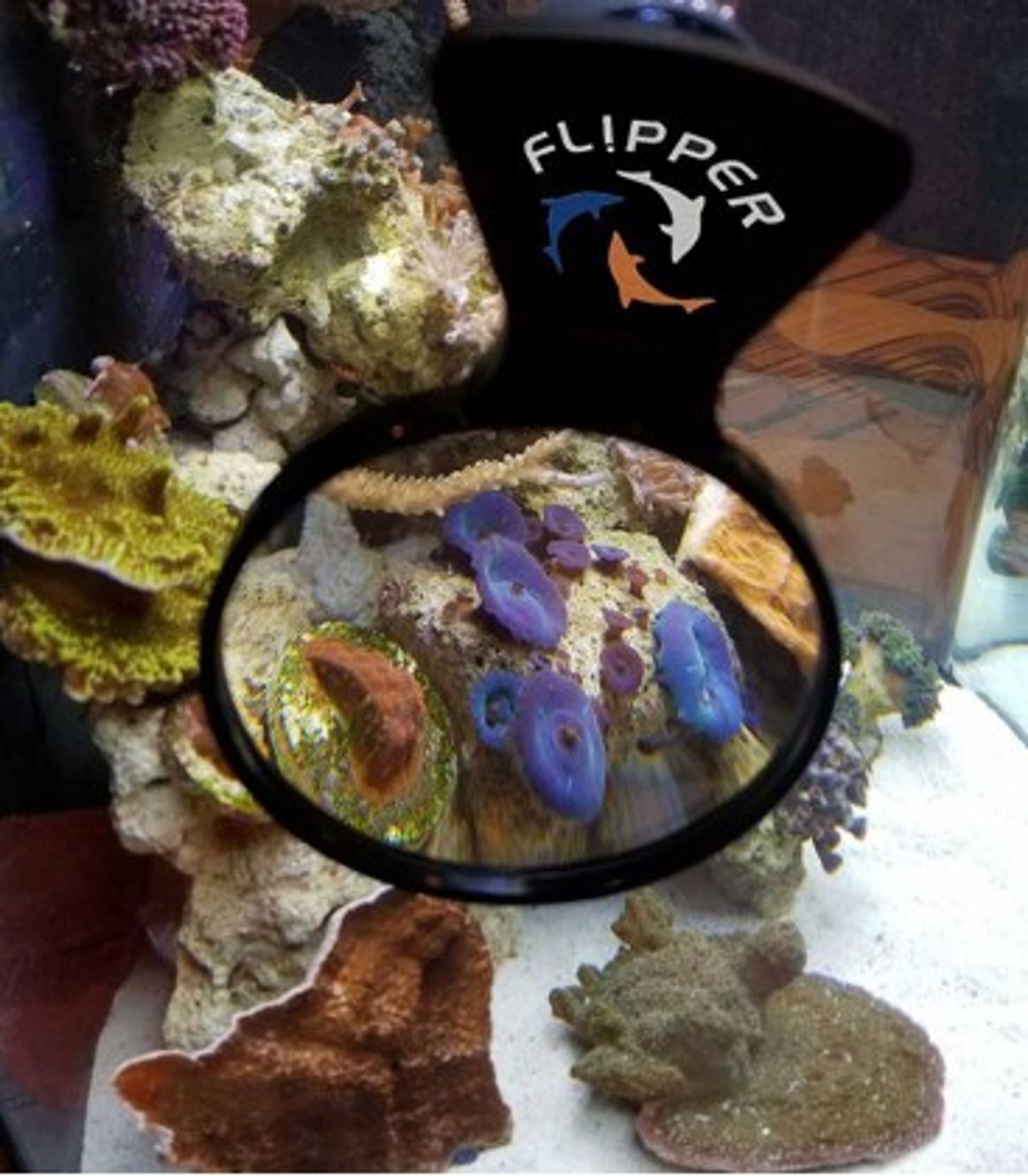 FLIPPER DEEPSEE MAGNIFIED MAGNETIC AQUARIUM VIEWER 4 INCH
