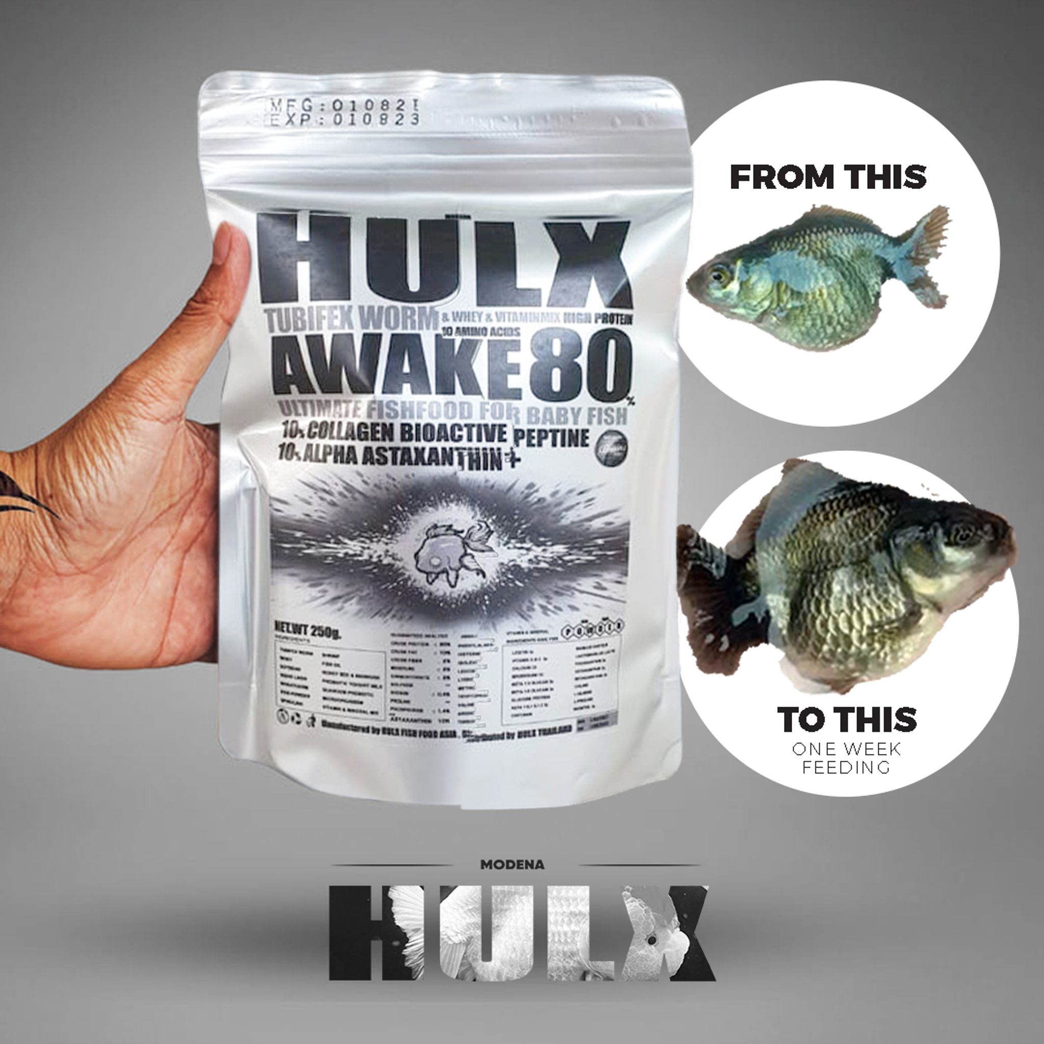 HULX SILVER Goldfish Food Tubifex Worm & Whey & Vitamin Mix High Protein 10 Amino Acid Awake 80 Ultimate Fish Food