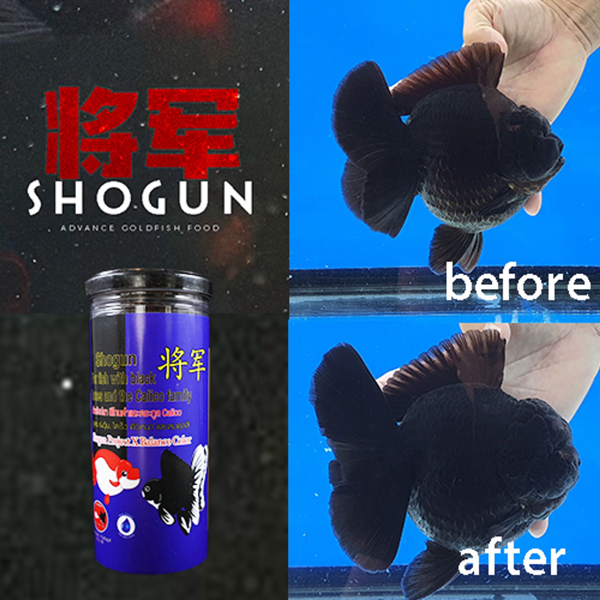 SHOGUN Advanced Gold Fish Pallet Sinking Blue Bottle Balance Color Formula 270 grams SS Pellet Size