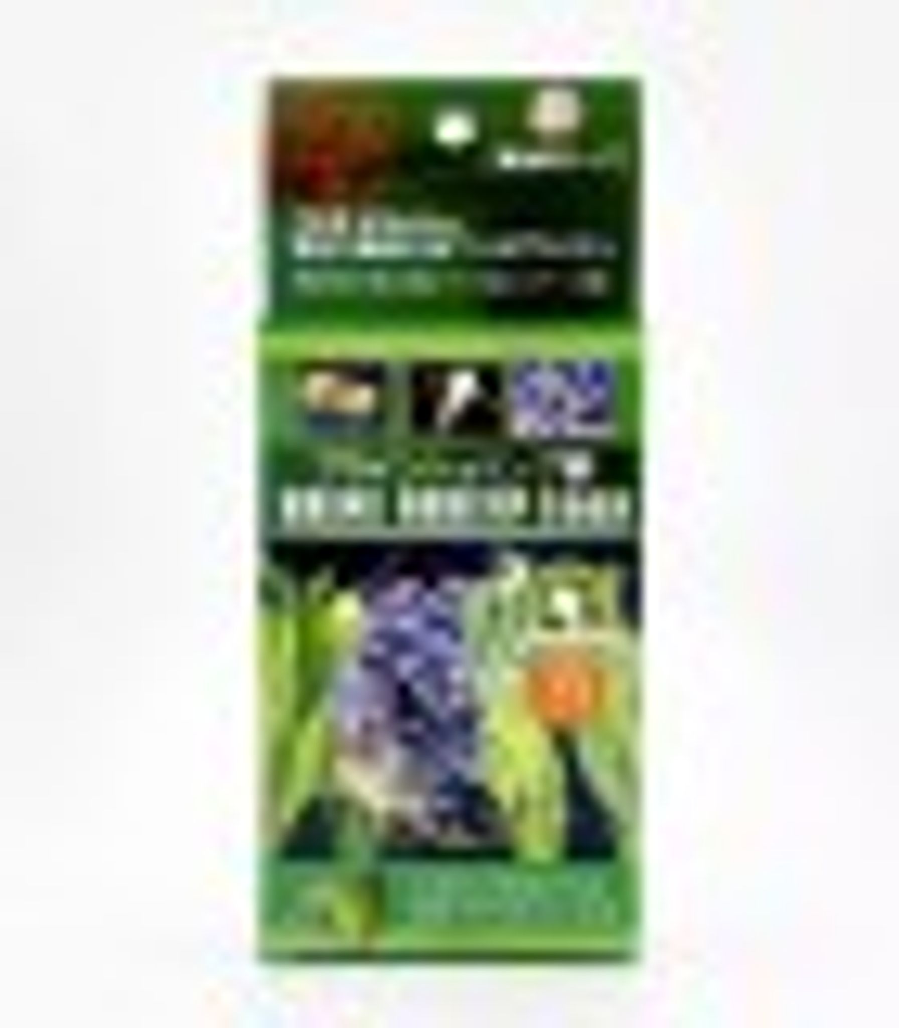 JPD Brine Shrimp Eggs 20g (JPD11849) Fish Food
