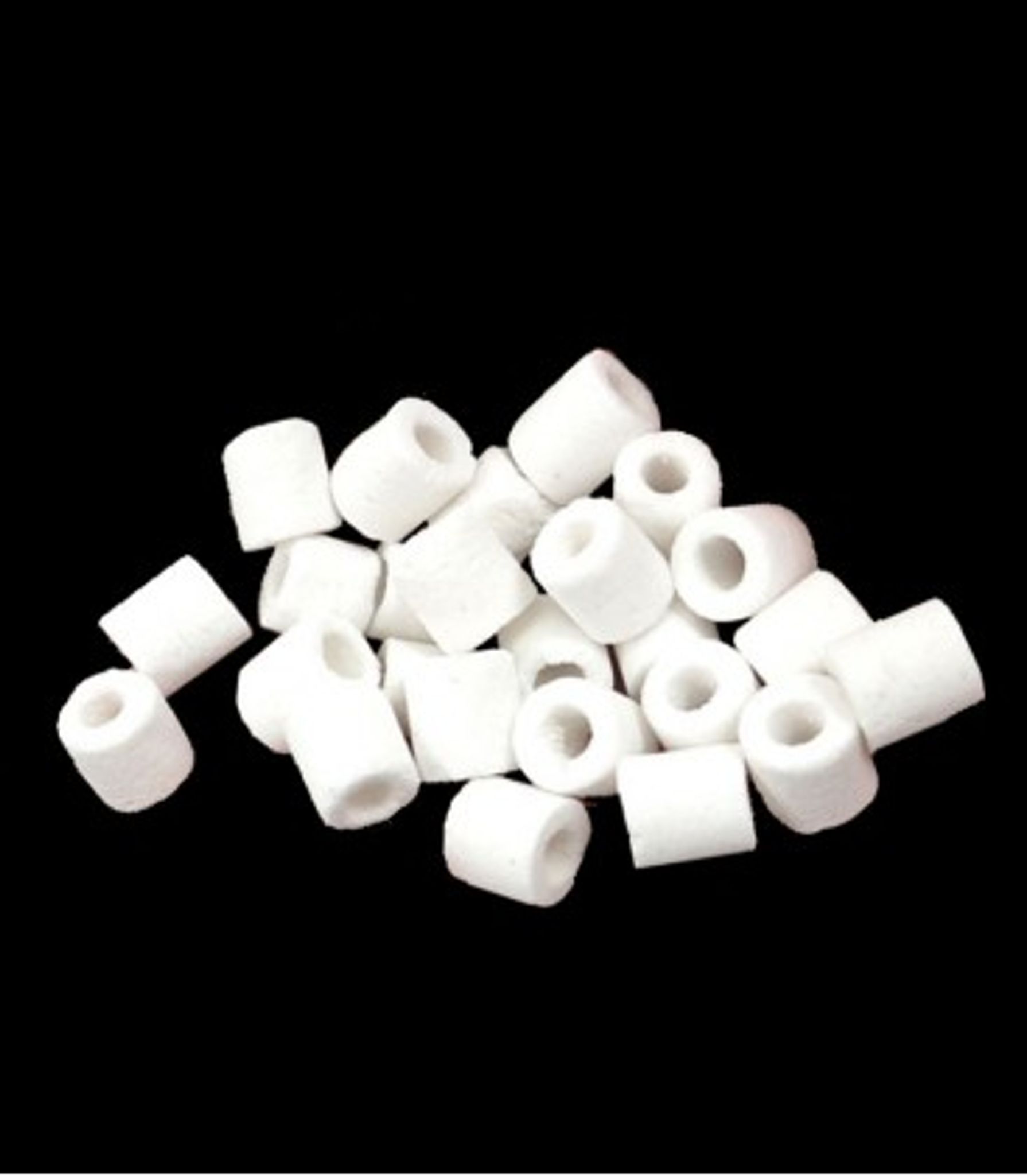 ANS SINOPORE MAX PREMIUM INTENSIVE BIO RING 1KG