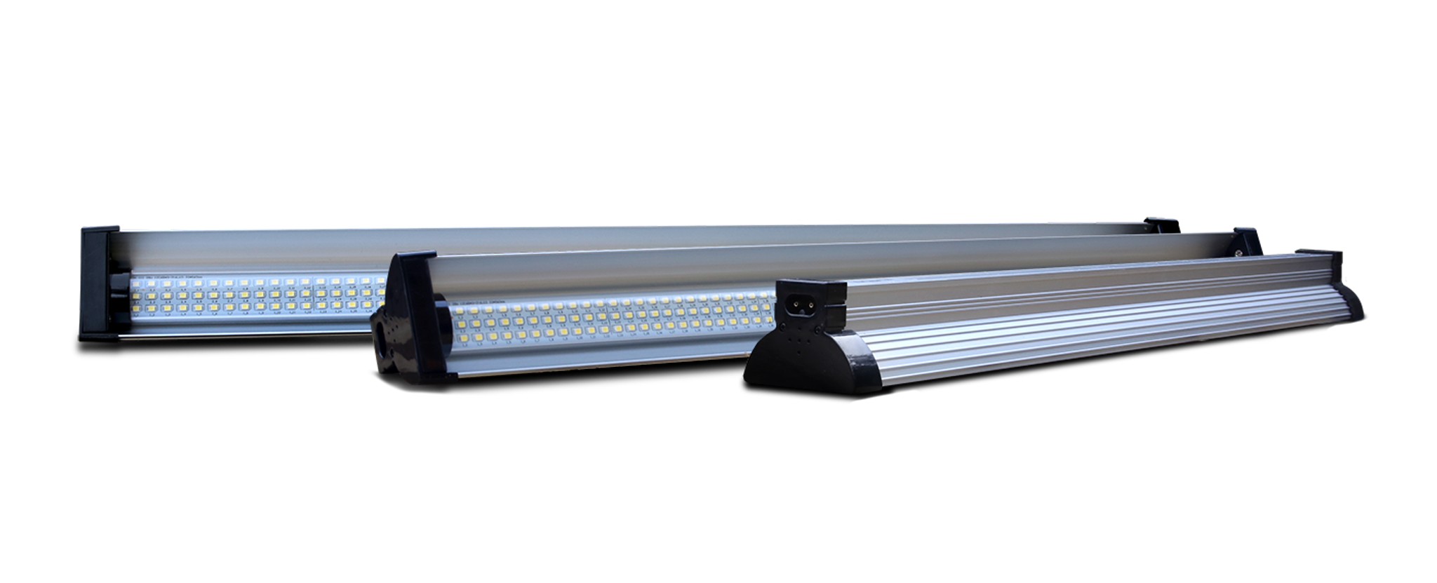 Arcadia Jungle Dawn LED bar