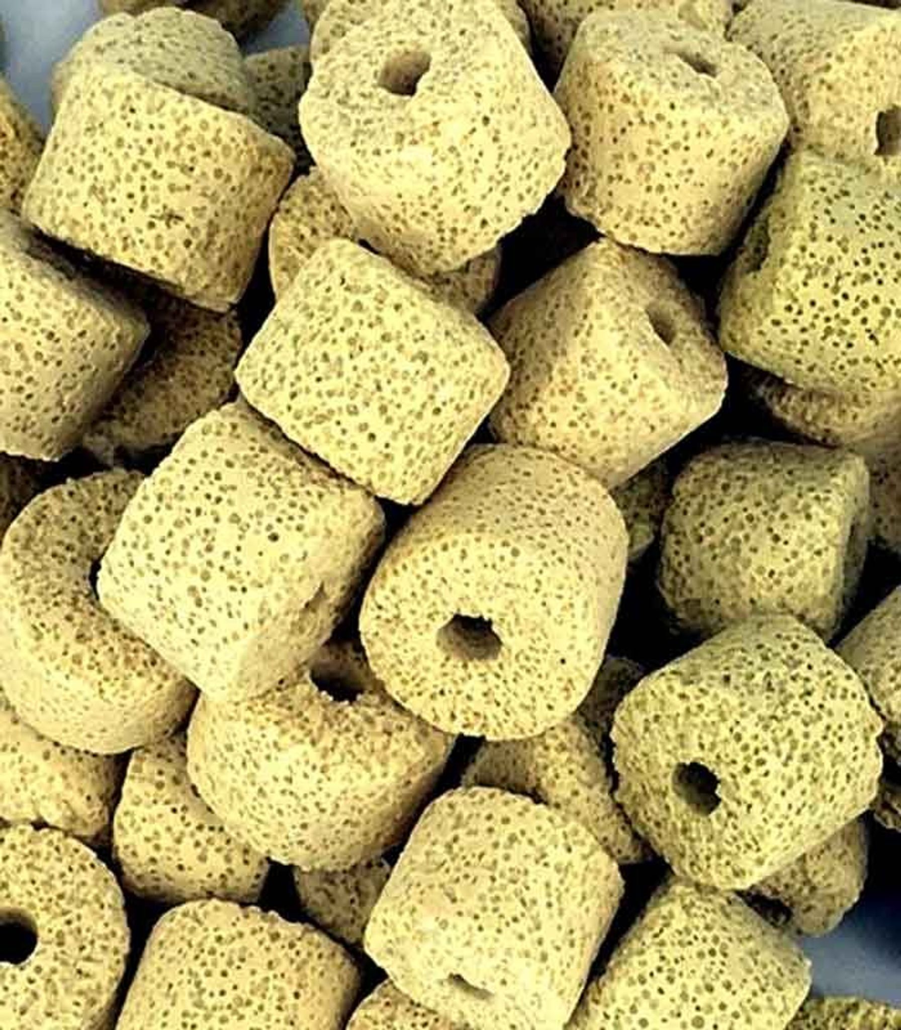 ANS MINI BACTERIA HOUSE 1KG