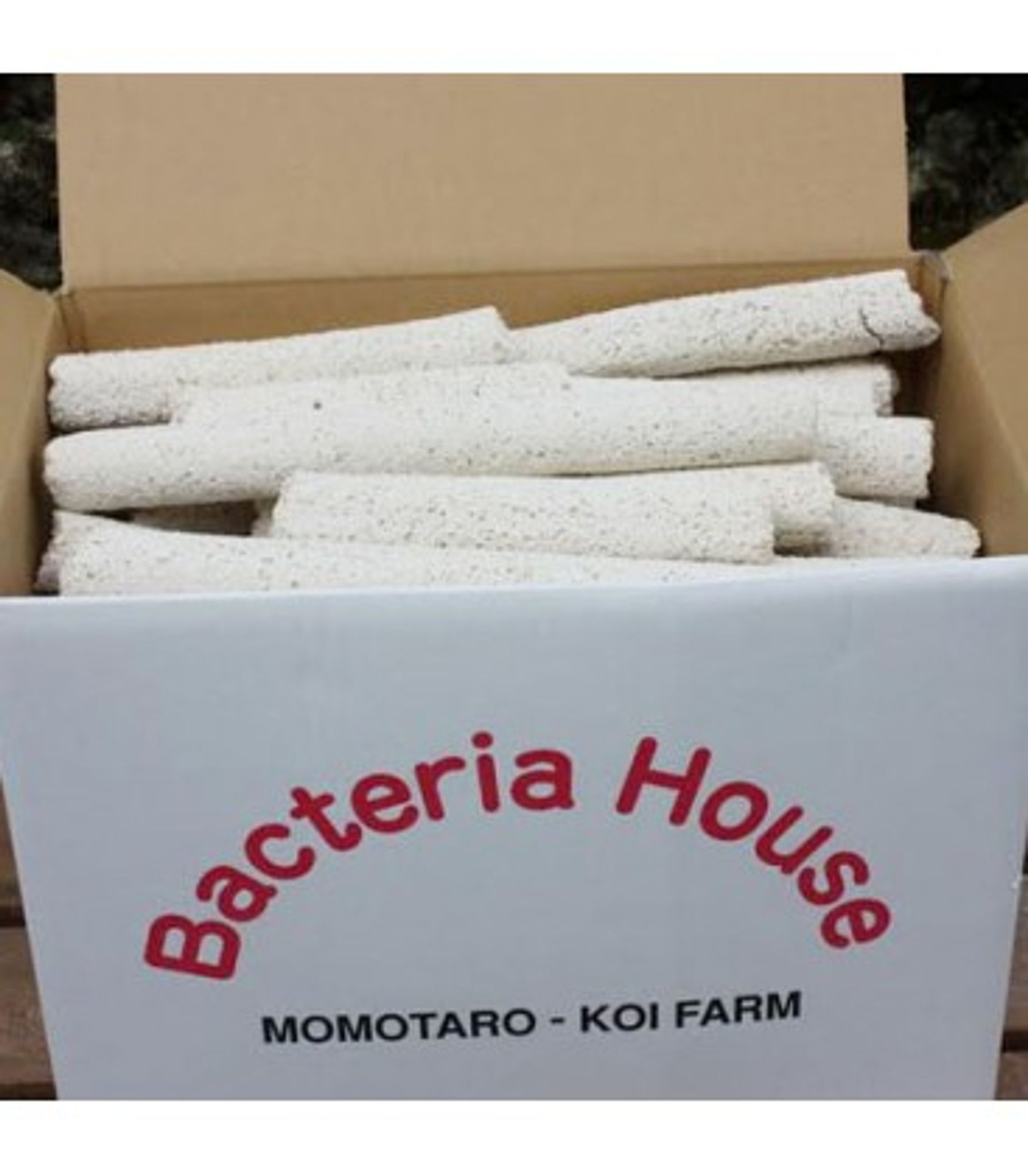MOMOTARO BACTERIA HOUSE (JAPAN) 10KG