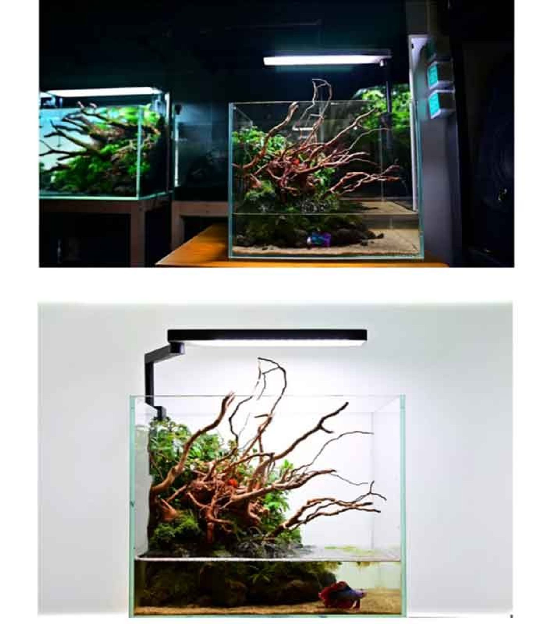 CHIHIROS C2 RGB LED LIGHTING (C8402)