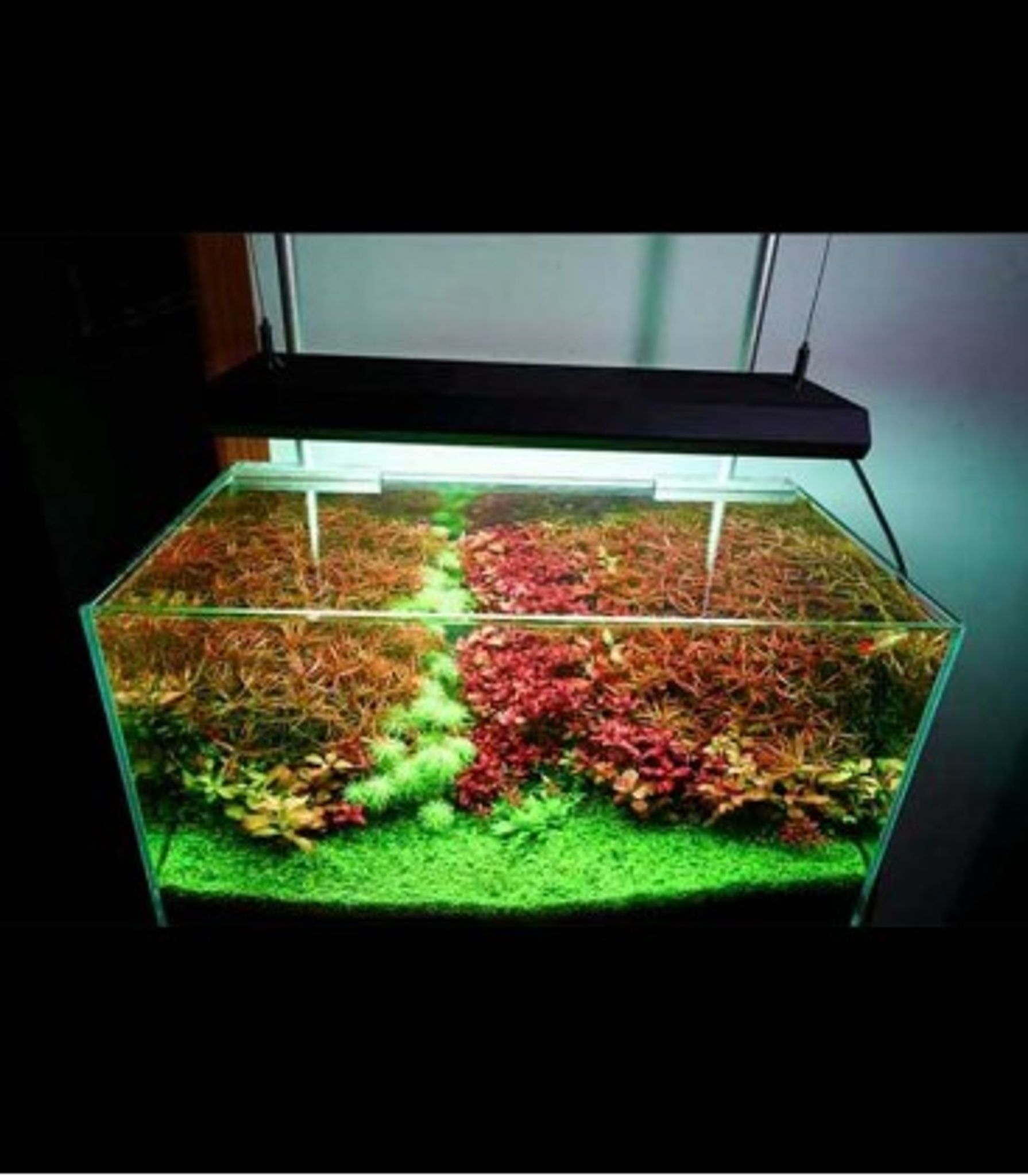 CHIHIROS VIVID II BLACK LED LIGHTING (23CHIVIVID2)