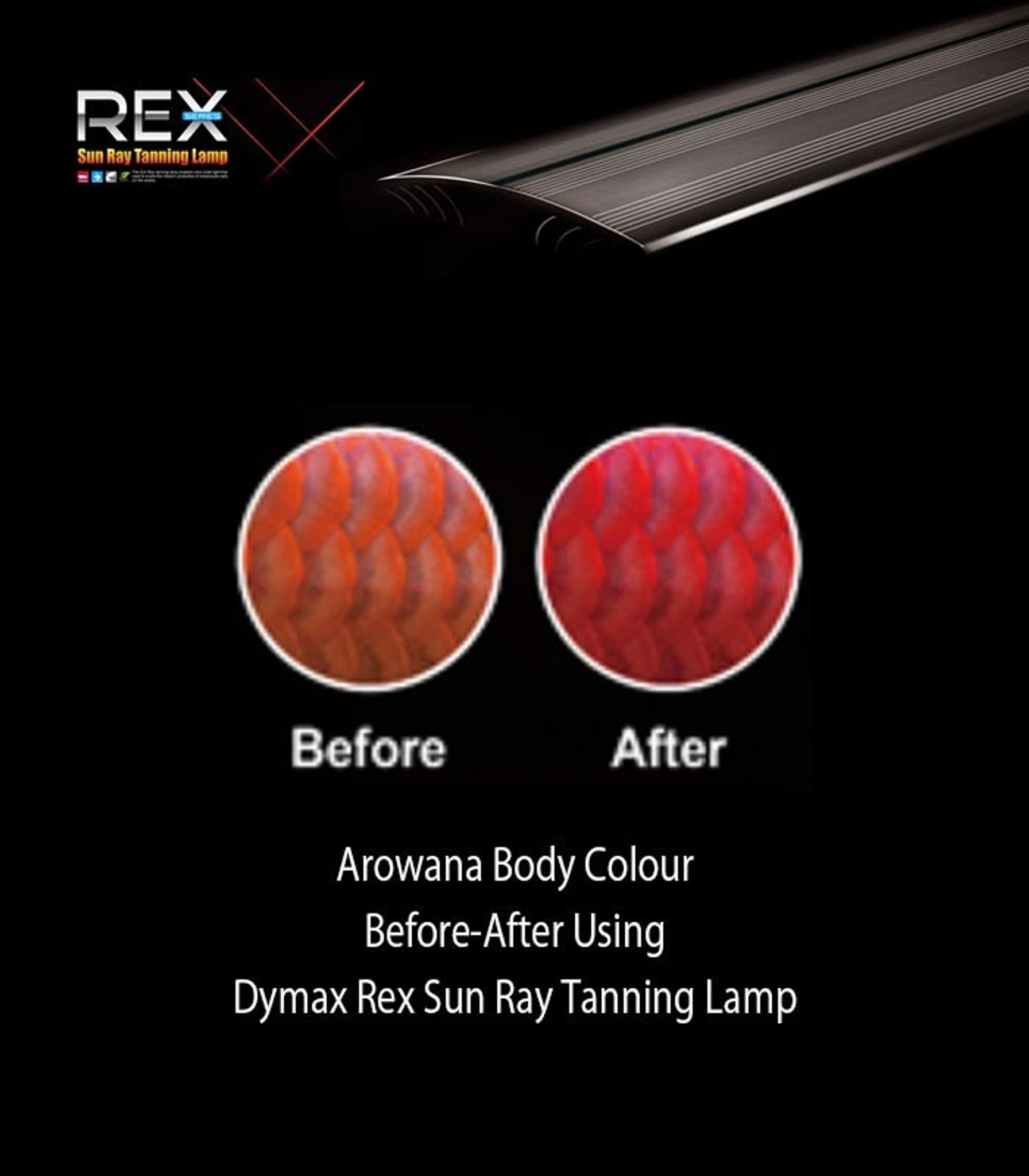 DYMAX REX SUNRAY AROWANA TANNING LAMP 120CM