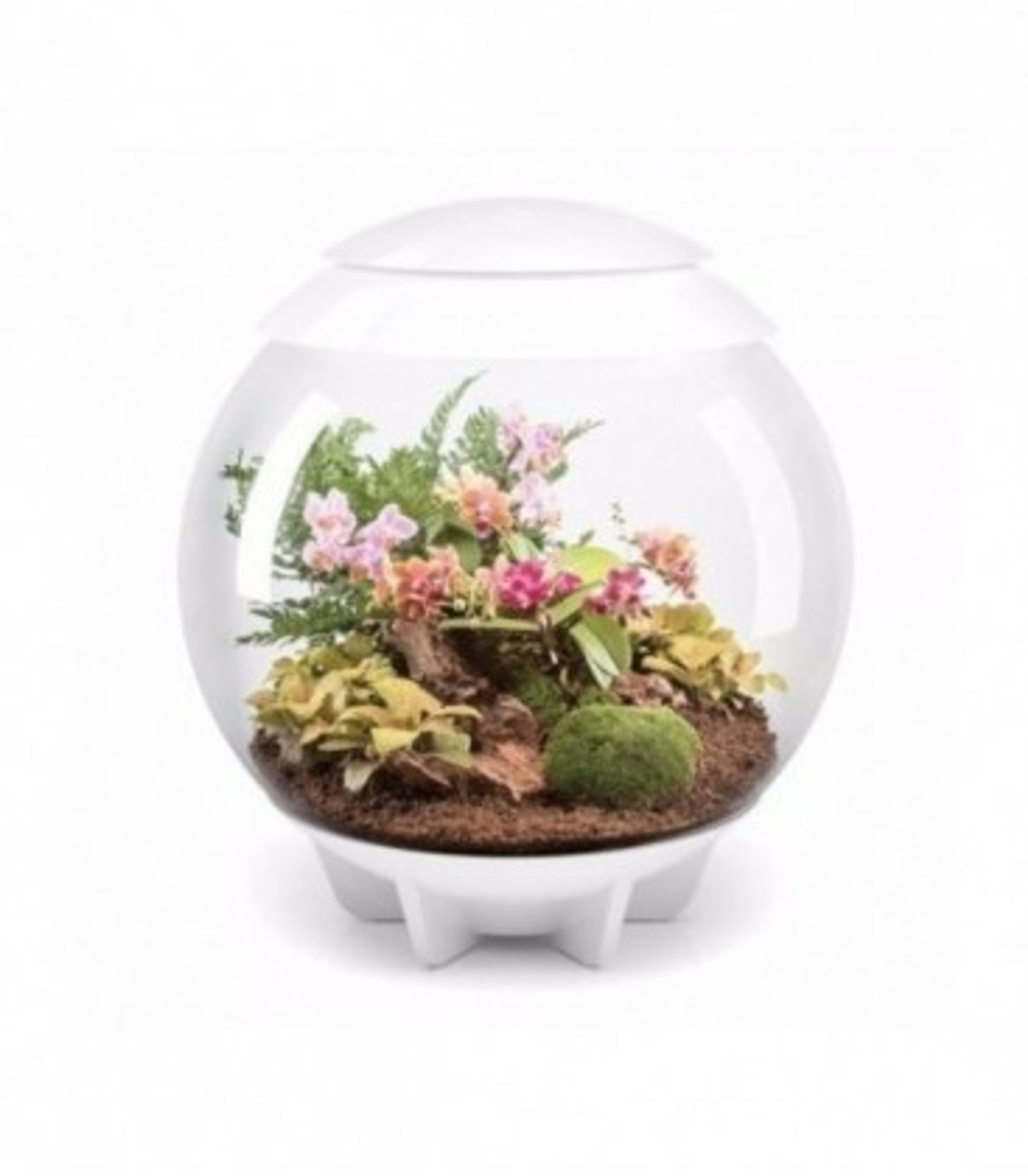 BIORB AIR 60 WHITE TERRARIUM