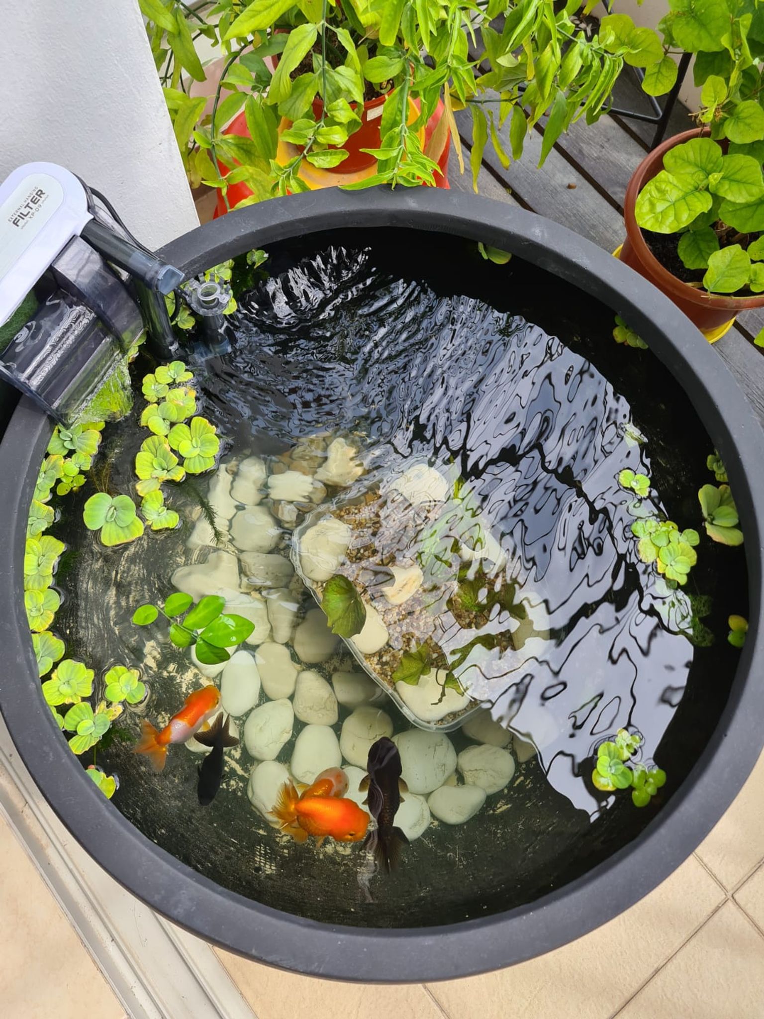 Planter Pot (FC17V2)