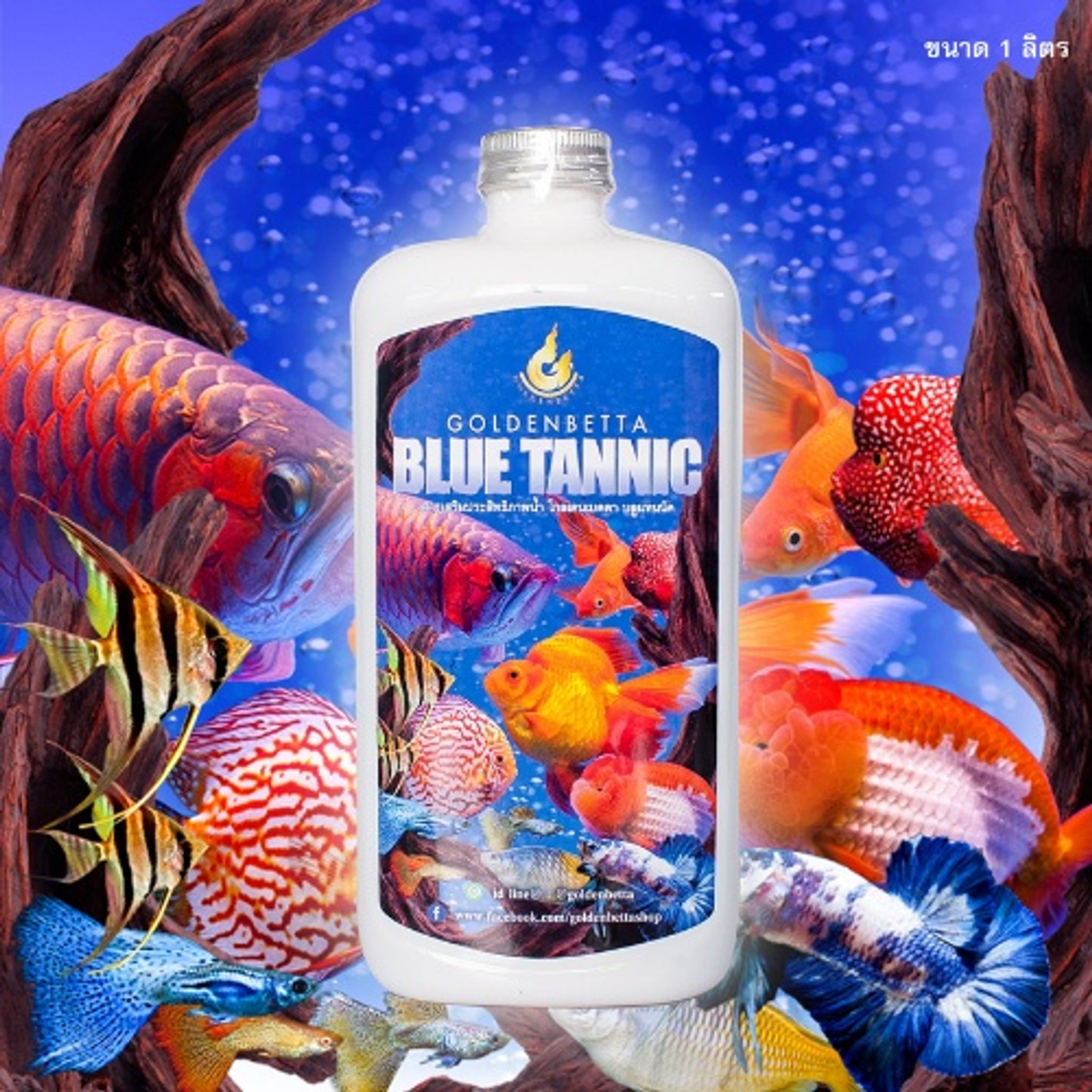 Golden Betta Blue Tannic