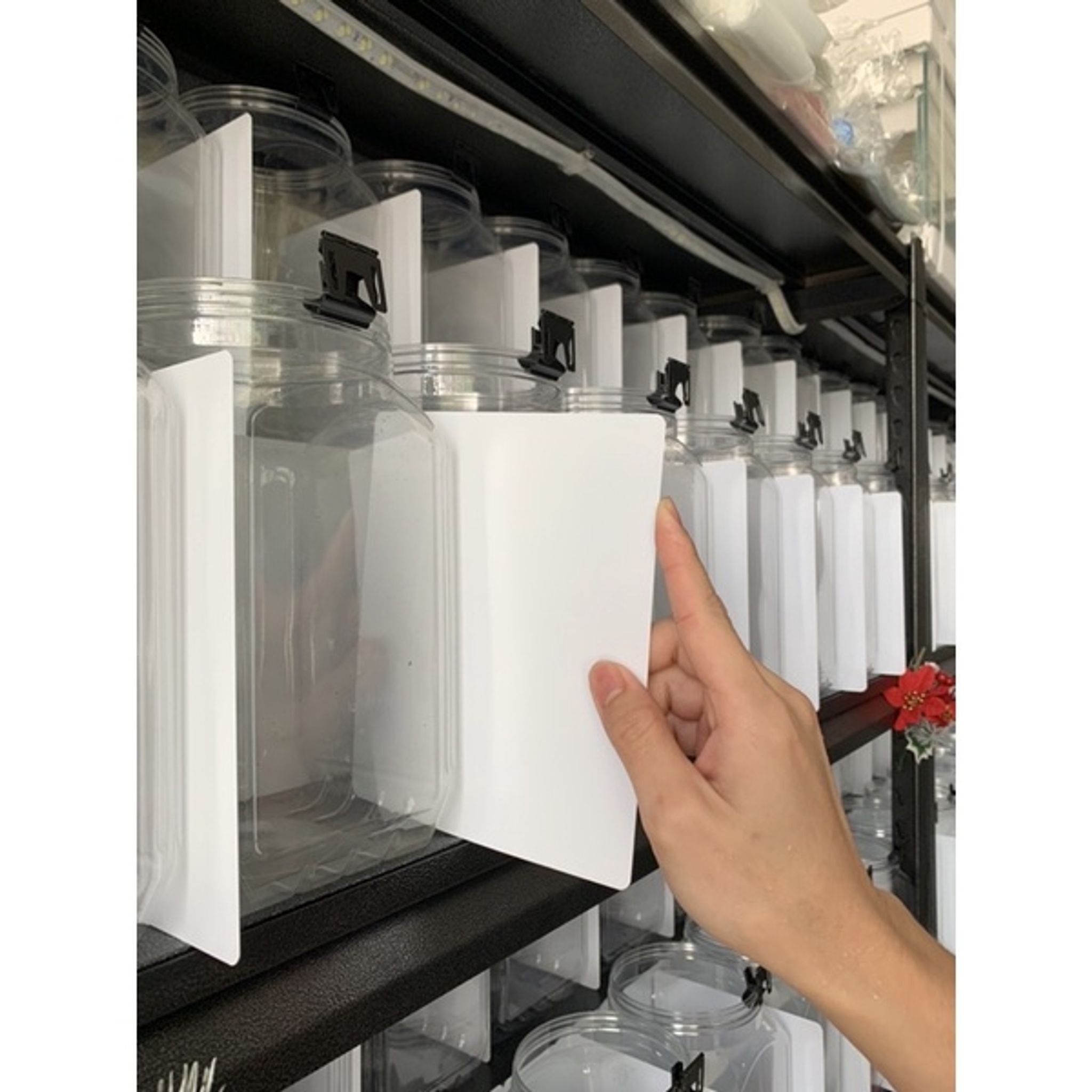 Betta Tank Divider (10pcs)