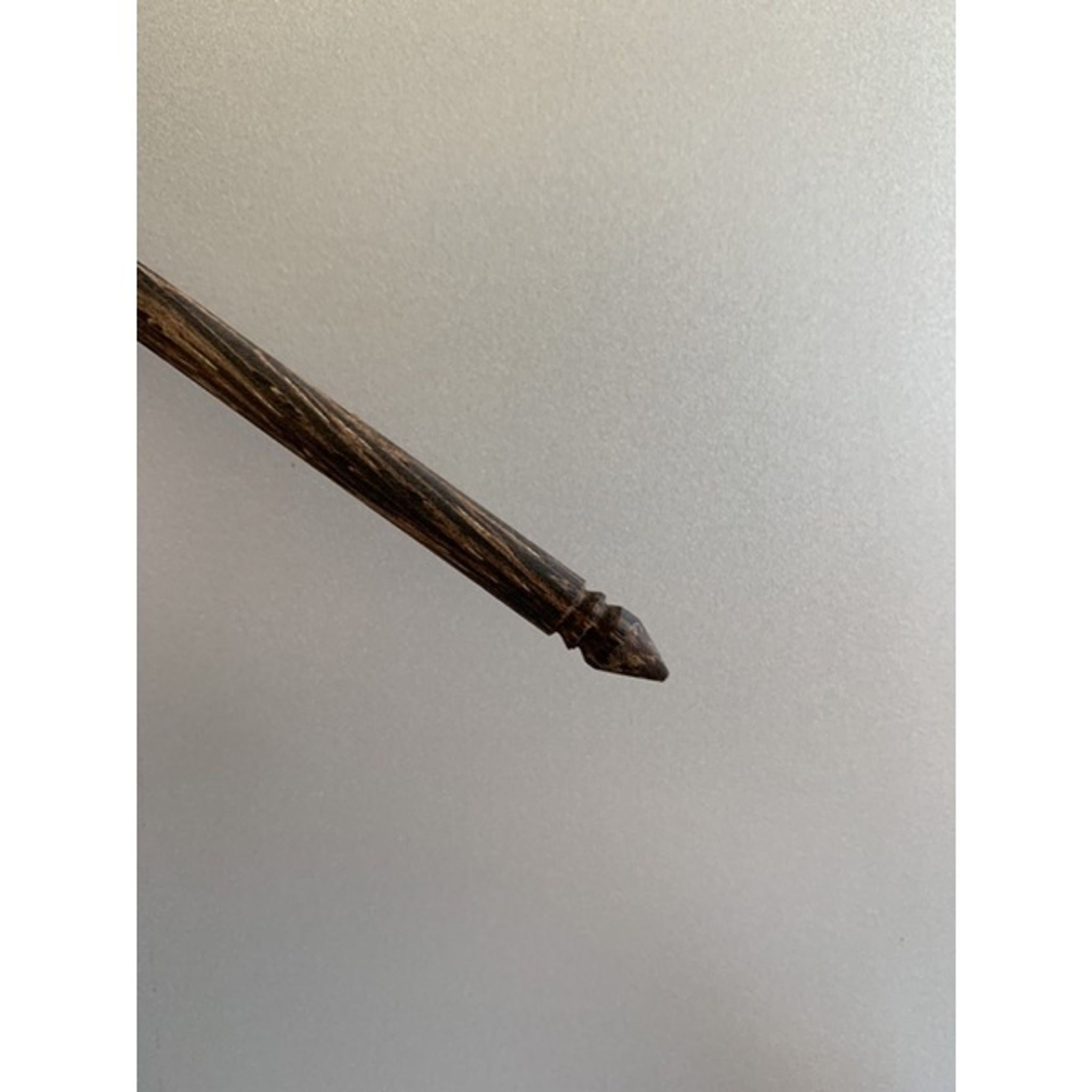 Betta Scoop Fish Net + pointed tip for flaring