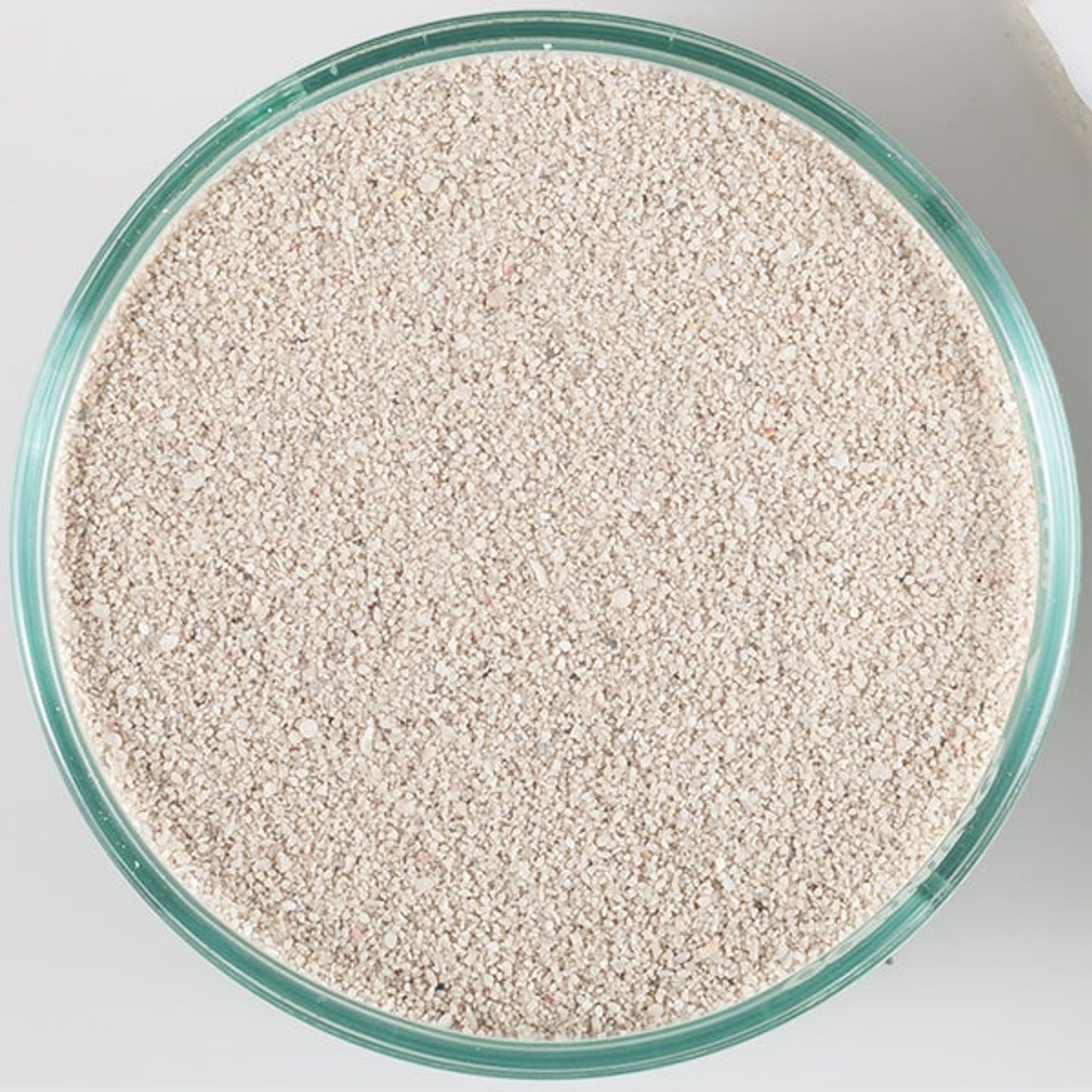 Caribsea Arag-Alive Bahamas Oolite