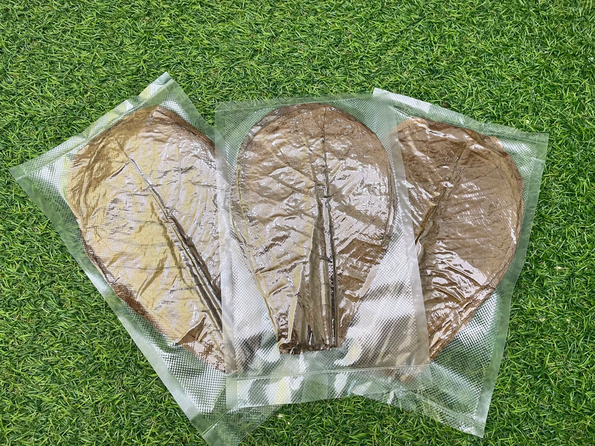 CATAPPA LEAF 1000GRAM/ 1KG