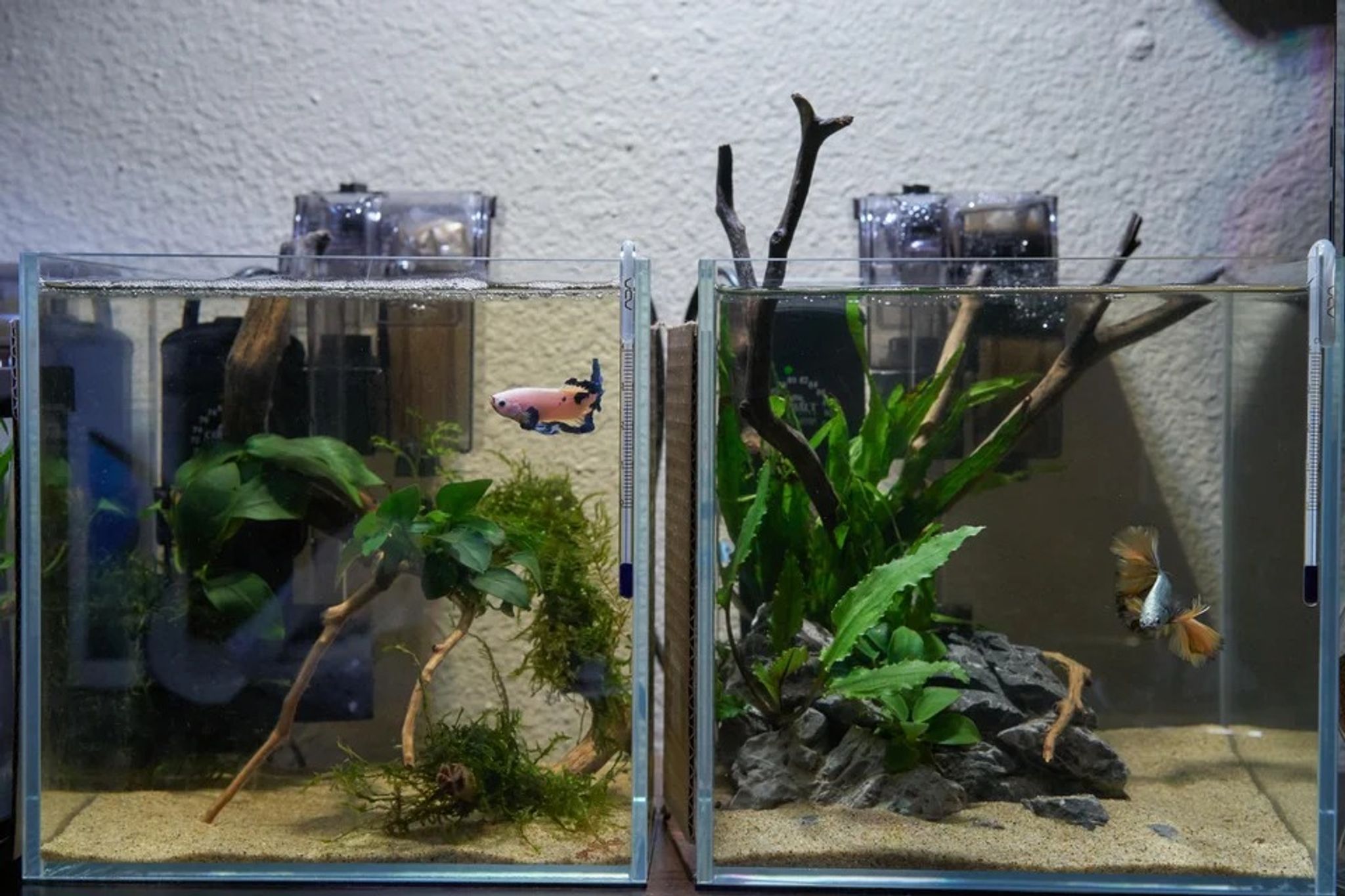Aquacube Set (0.5 feet)