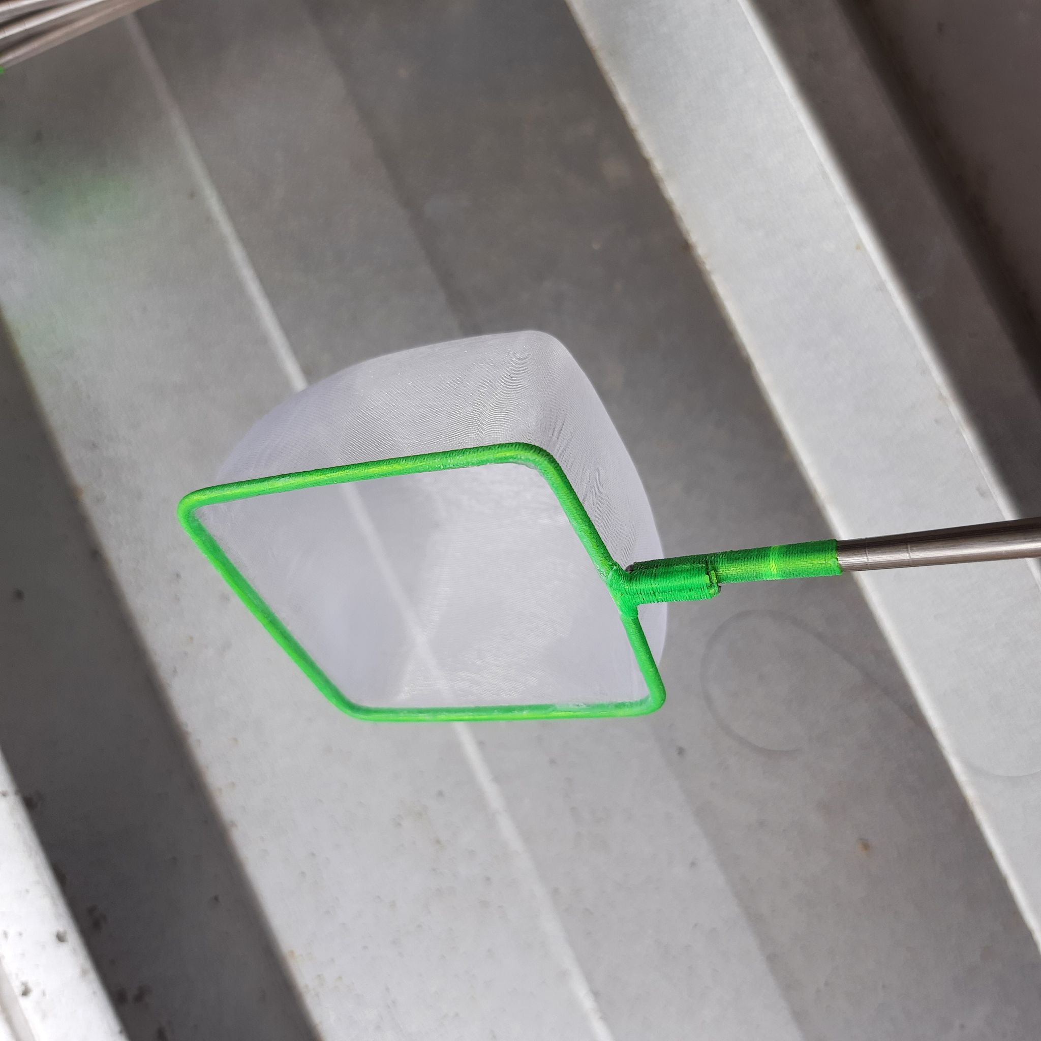 Fish Net