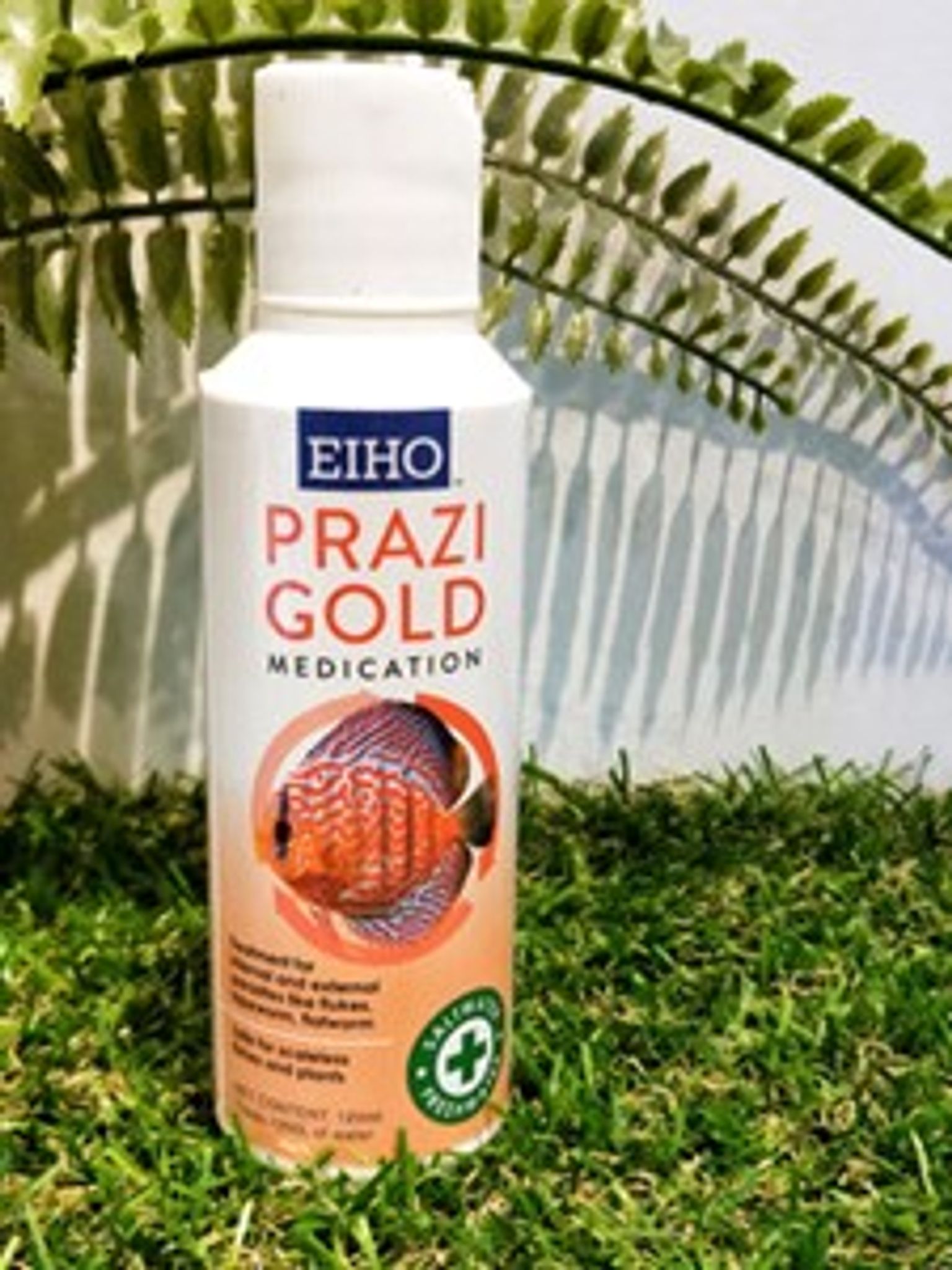 EIHO Prazi Gold