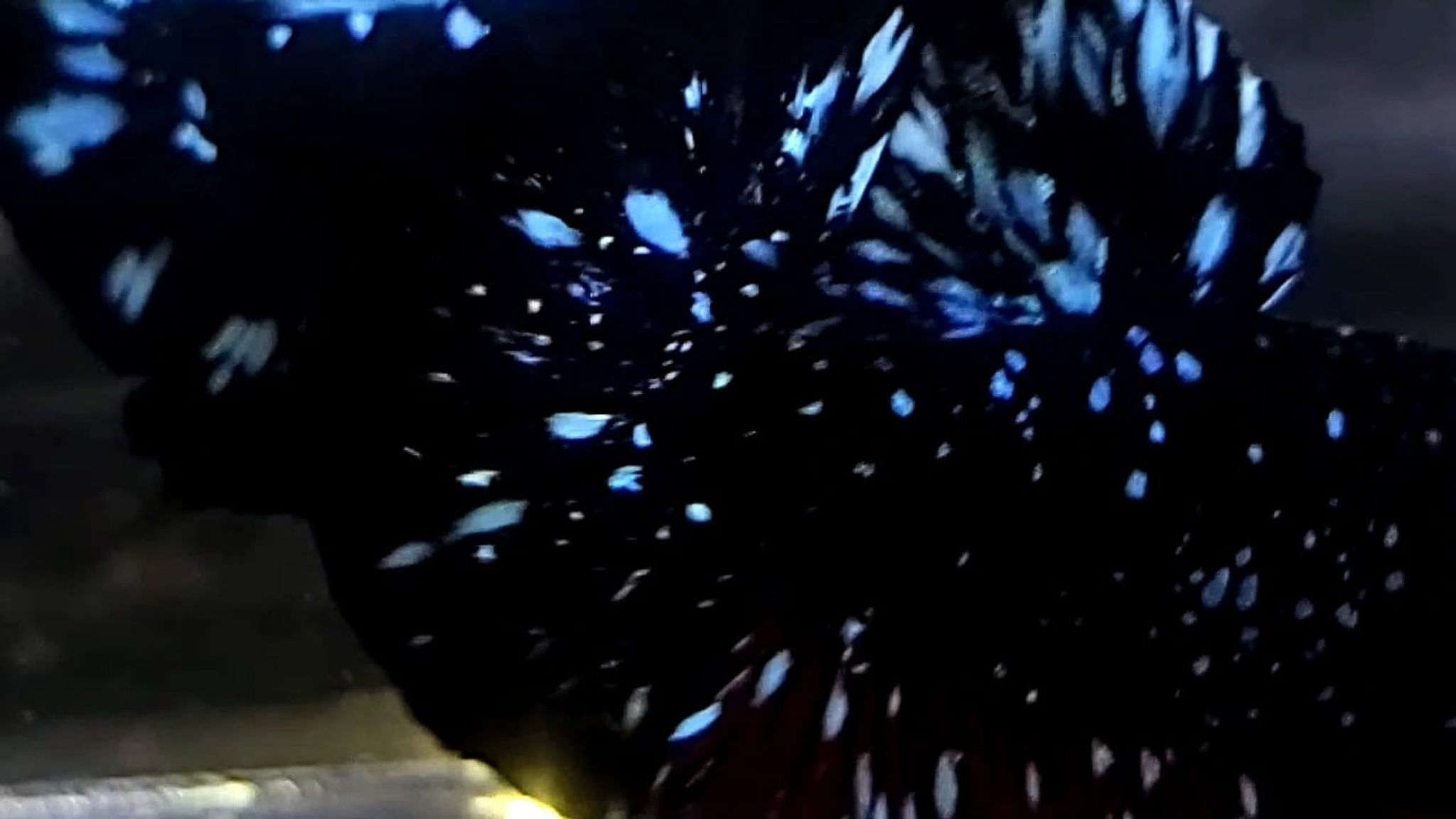 Steel Blue Black Galaxy