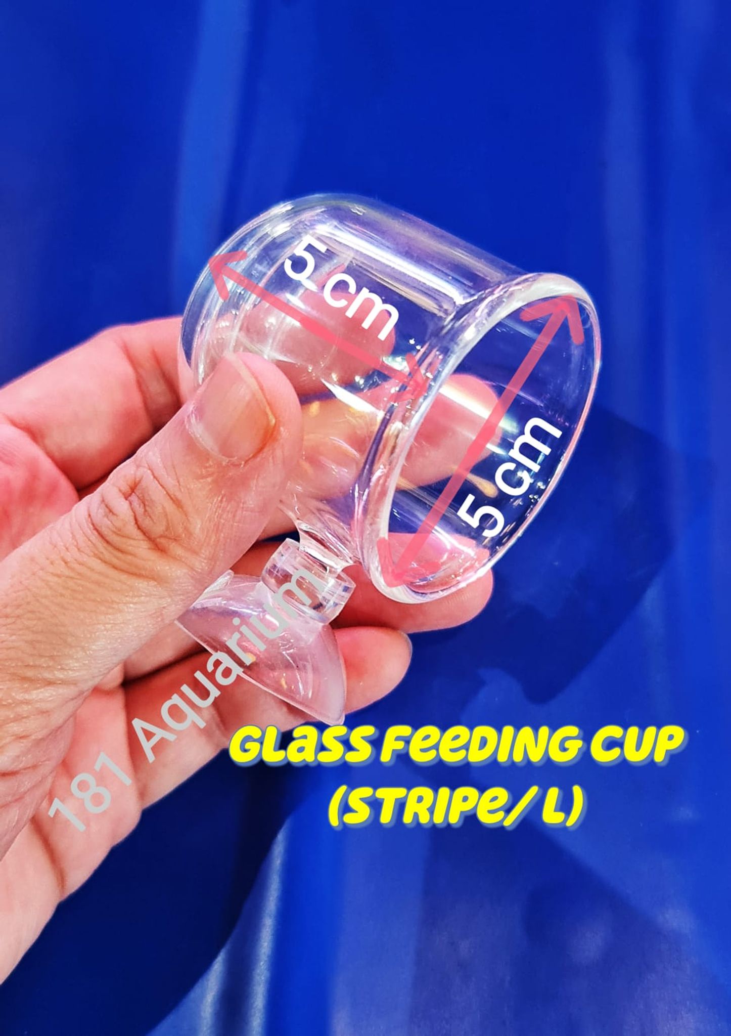 Glass Feeding Pod Fish Feeder Brine Shrimp Eggs Red Worms Food For Aquarium (S/ M/ L)