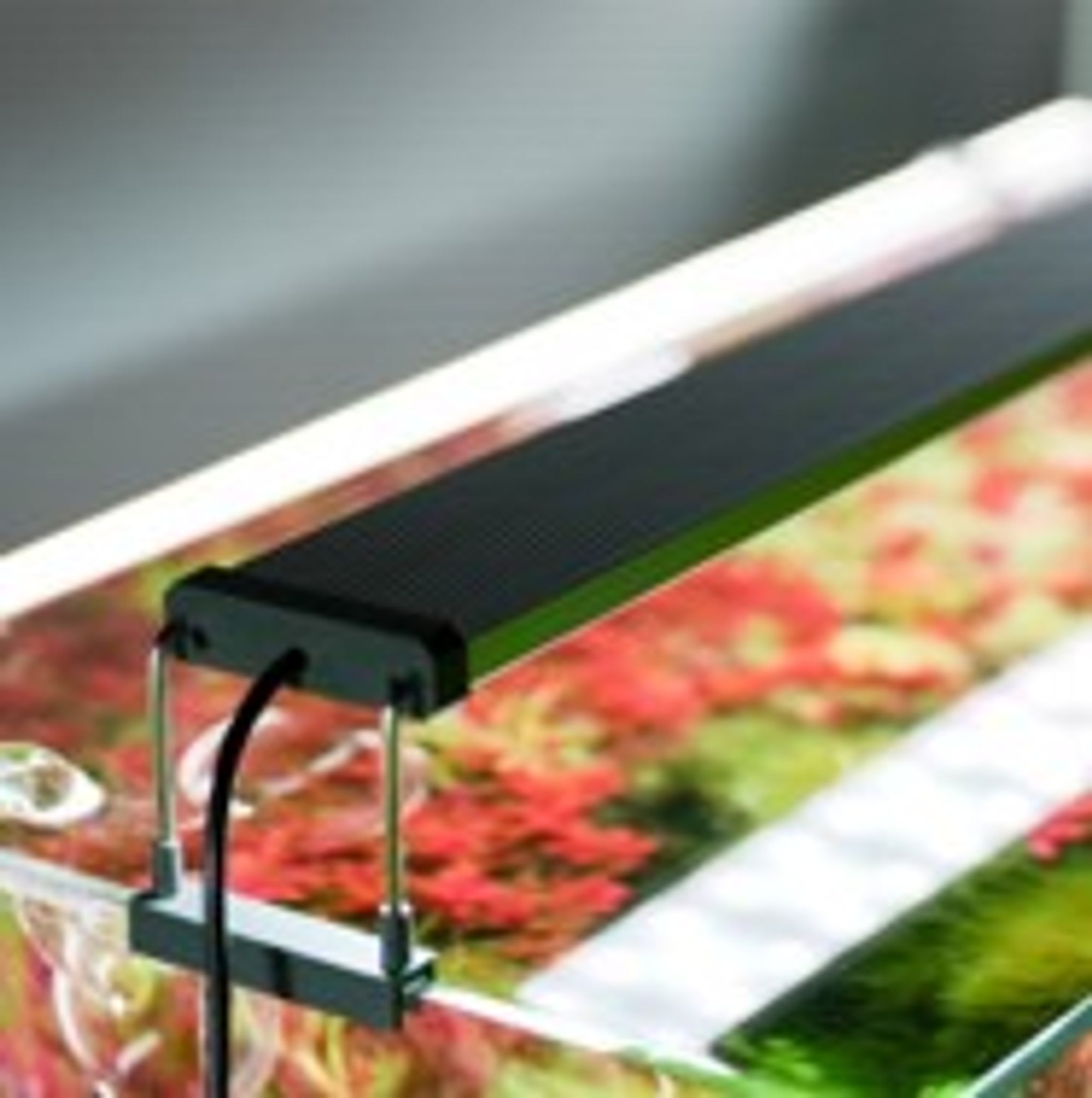 Chihiros B Series LED Lighting System (B30/B45/B60/B80/B120)