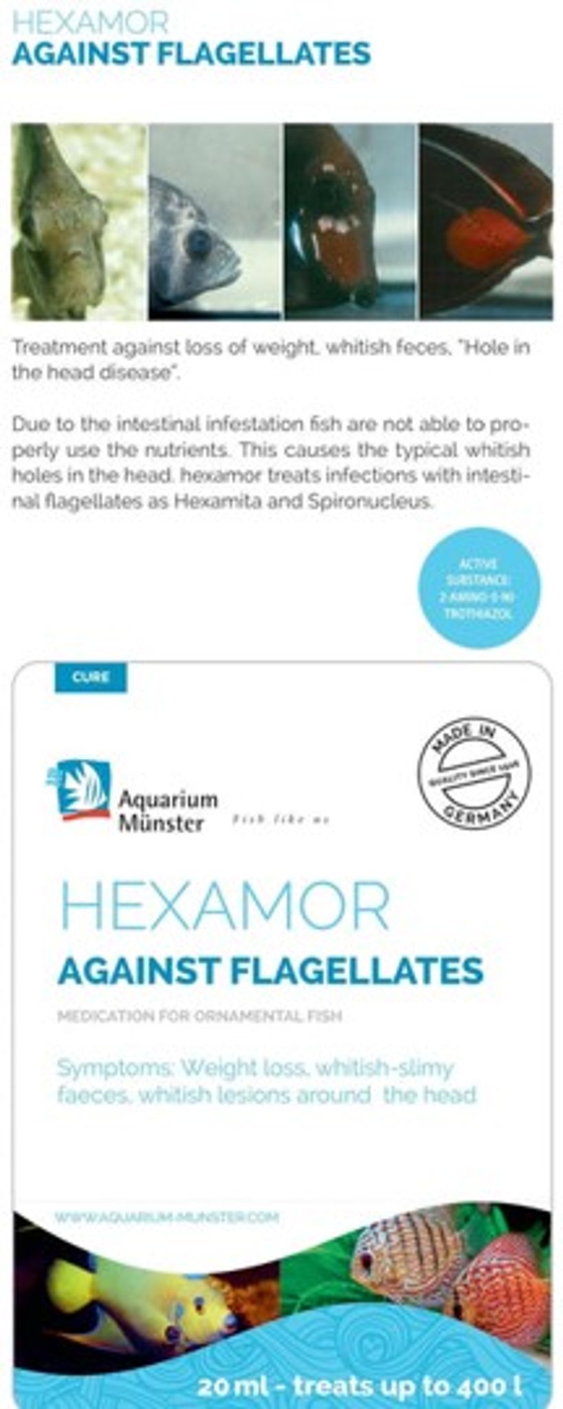 Aquarium Münster HEXAMOR