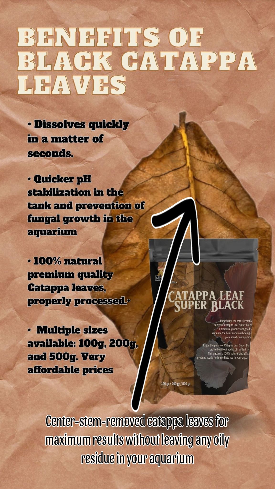 SUPER BLACK CATTAPPA LEAVES 100 gram PREMIUM ( Shipping costs not included)