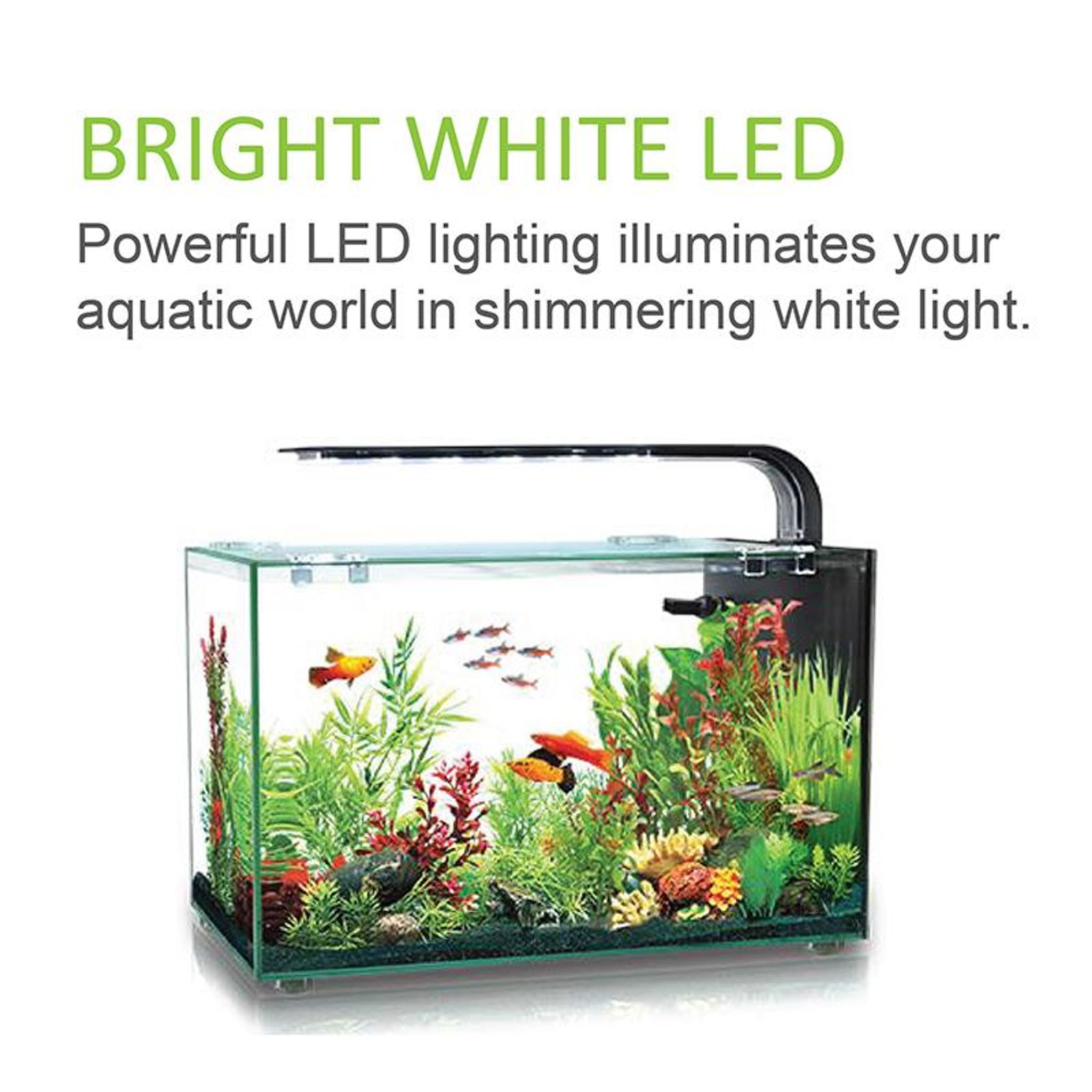 [Aquasyncro] Aquaclear Lux Designer Aquarium Fish Tank (with LE