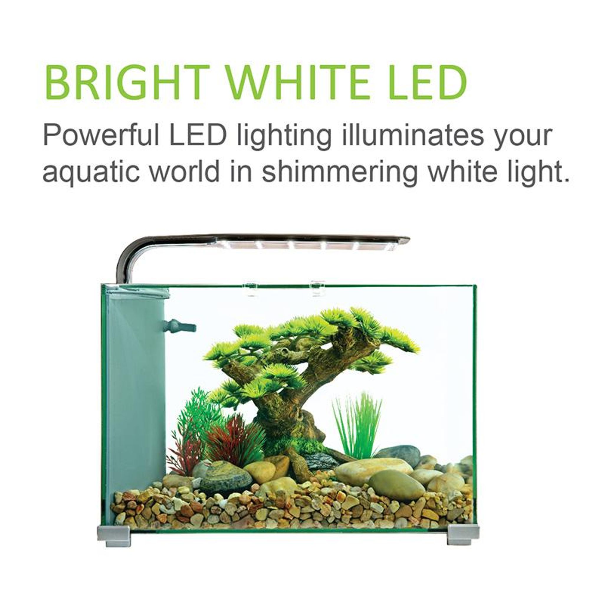 [Aquasyncro] Aquaclear XL Designer Aquarium Fish Tank (with LED