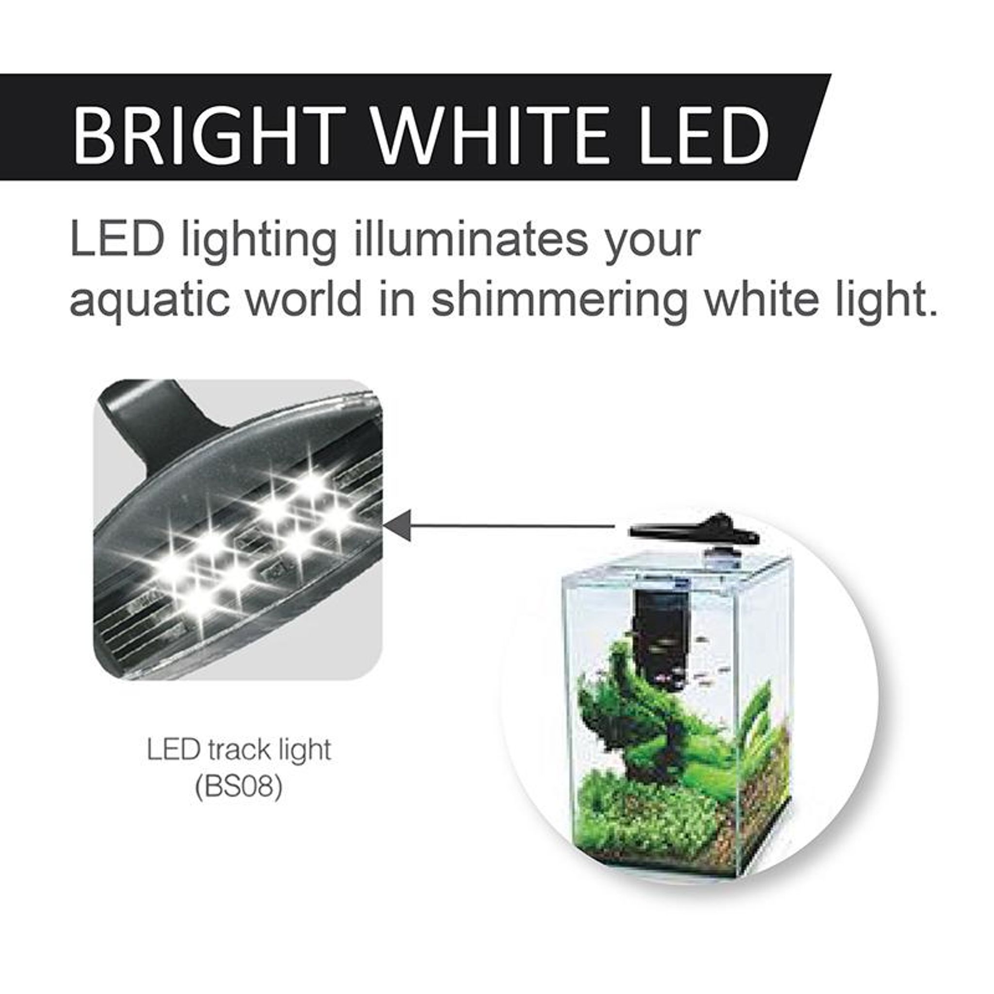 [Aquasyncro] ClearCube Tall Designer Aquarium (with LED Lights