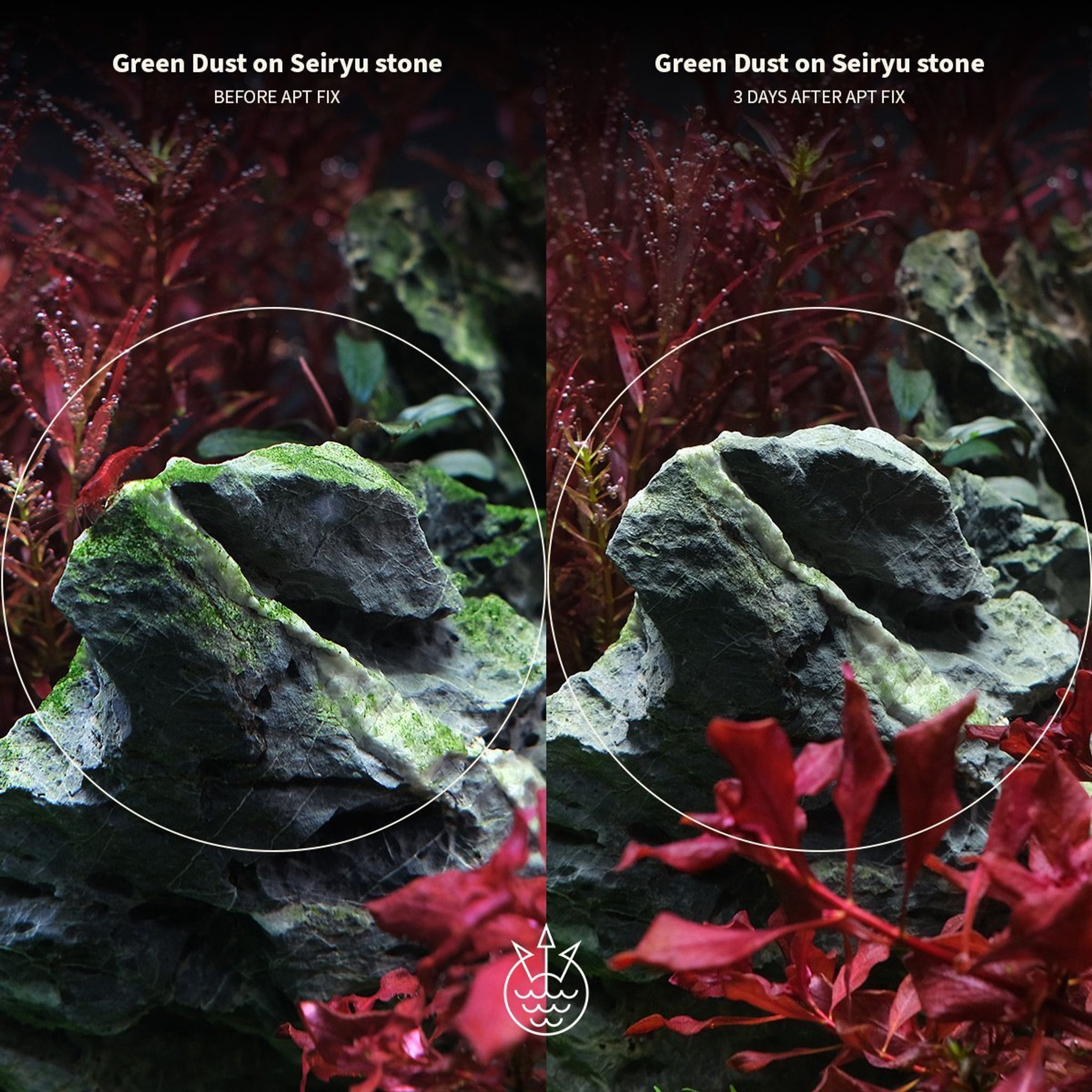 [2Hr Aquarist] APT FIX Algae Treatment for Aquarium Planted Tank