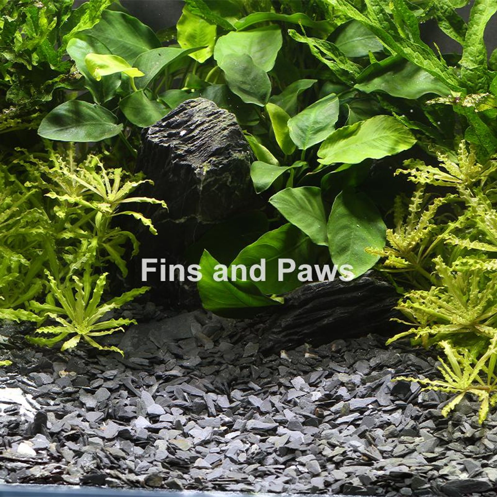 [Dennerle] Plantahunter Natural Gravel - Baikal/Slate 5kg