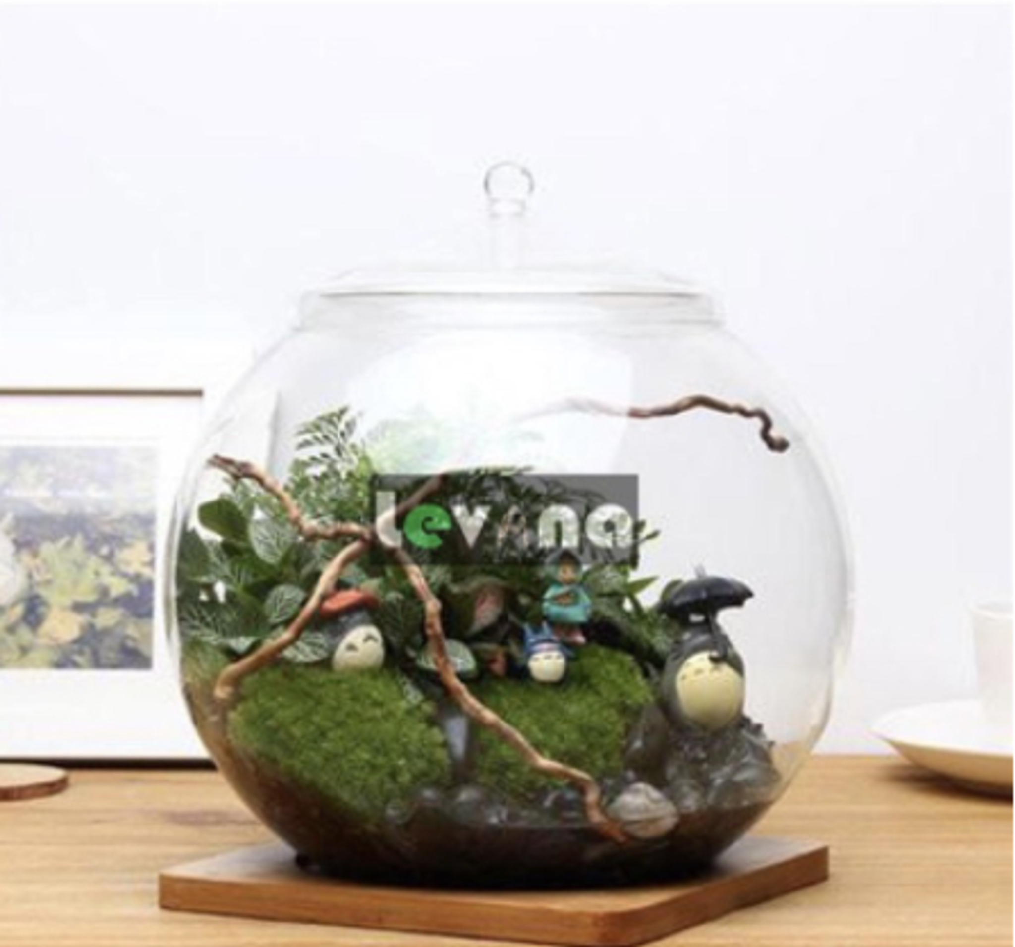 Natural drift wood for aquarium terrarium DIY bottle scape