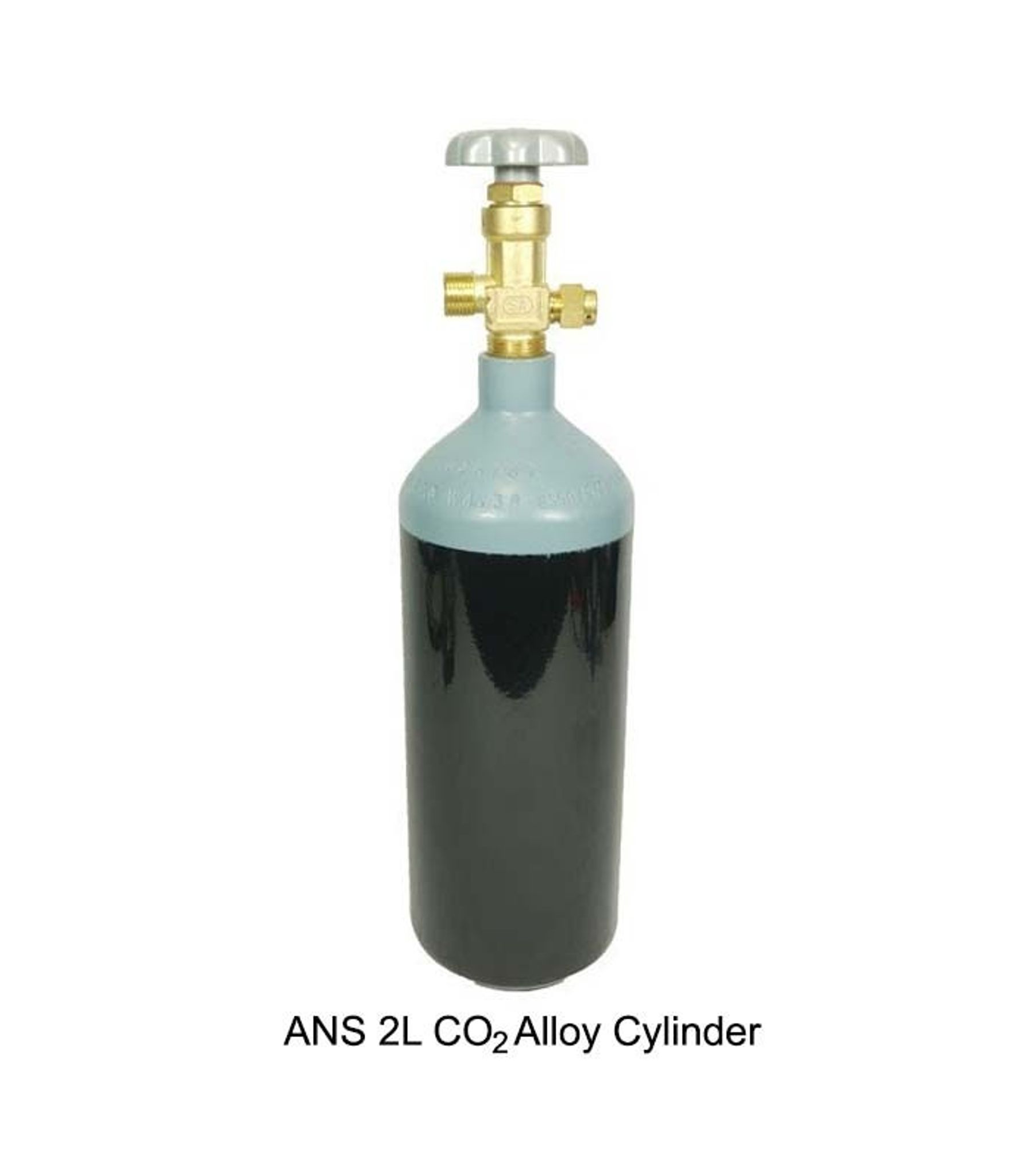 ANS 2L PROFESSIONAL CO2 SYSTEM