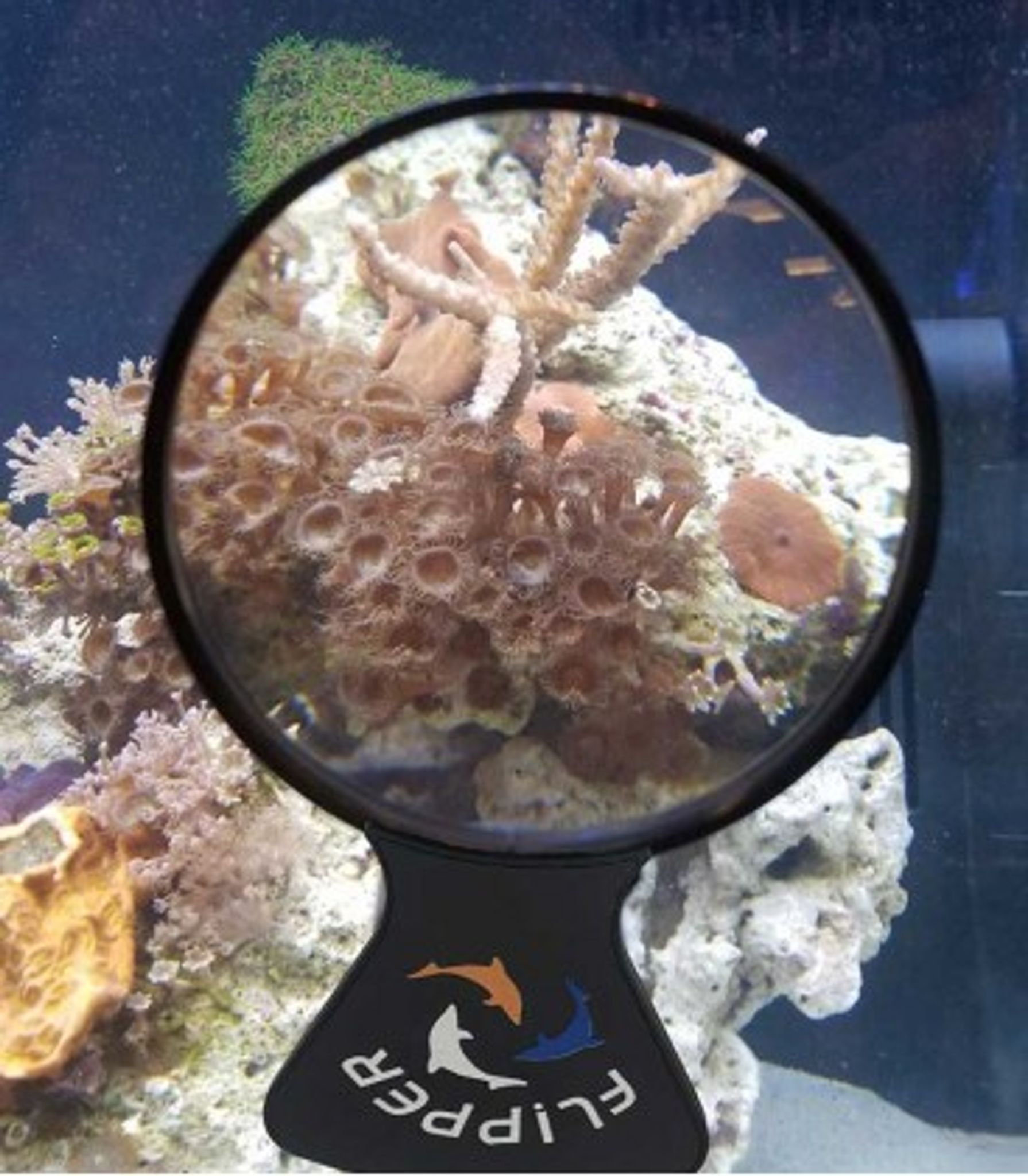 FLIPPER DEEPSEE MAGNIFIED MAGNETIC AQUARIUM VIEWER 4 INCH