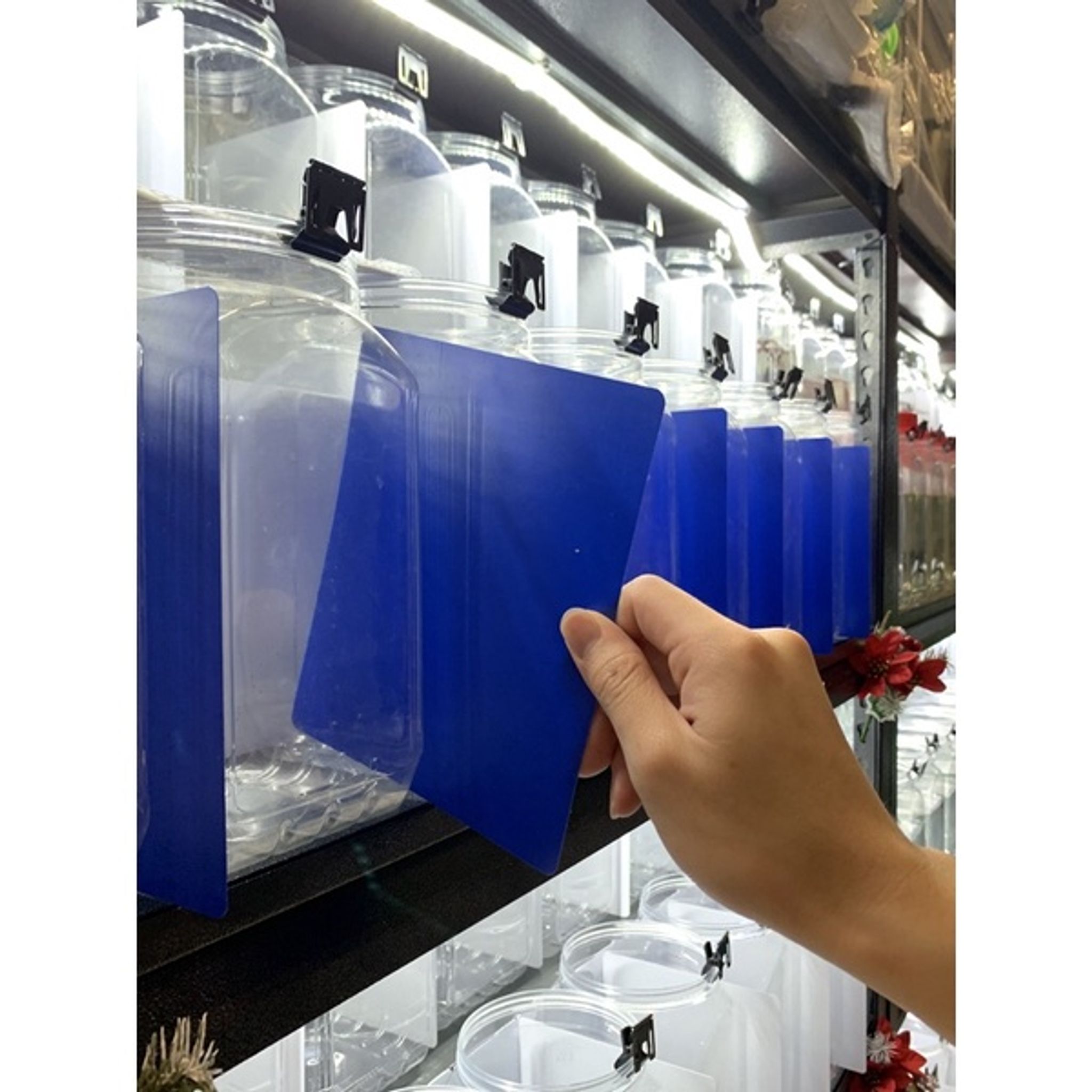 Betta Tank Divider (10pcs)