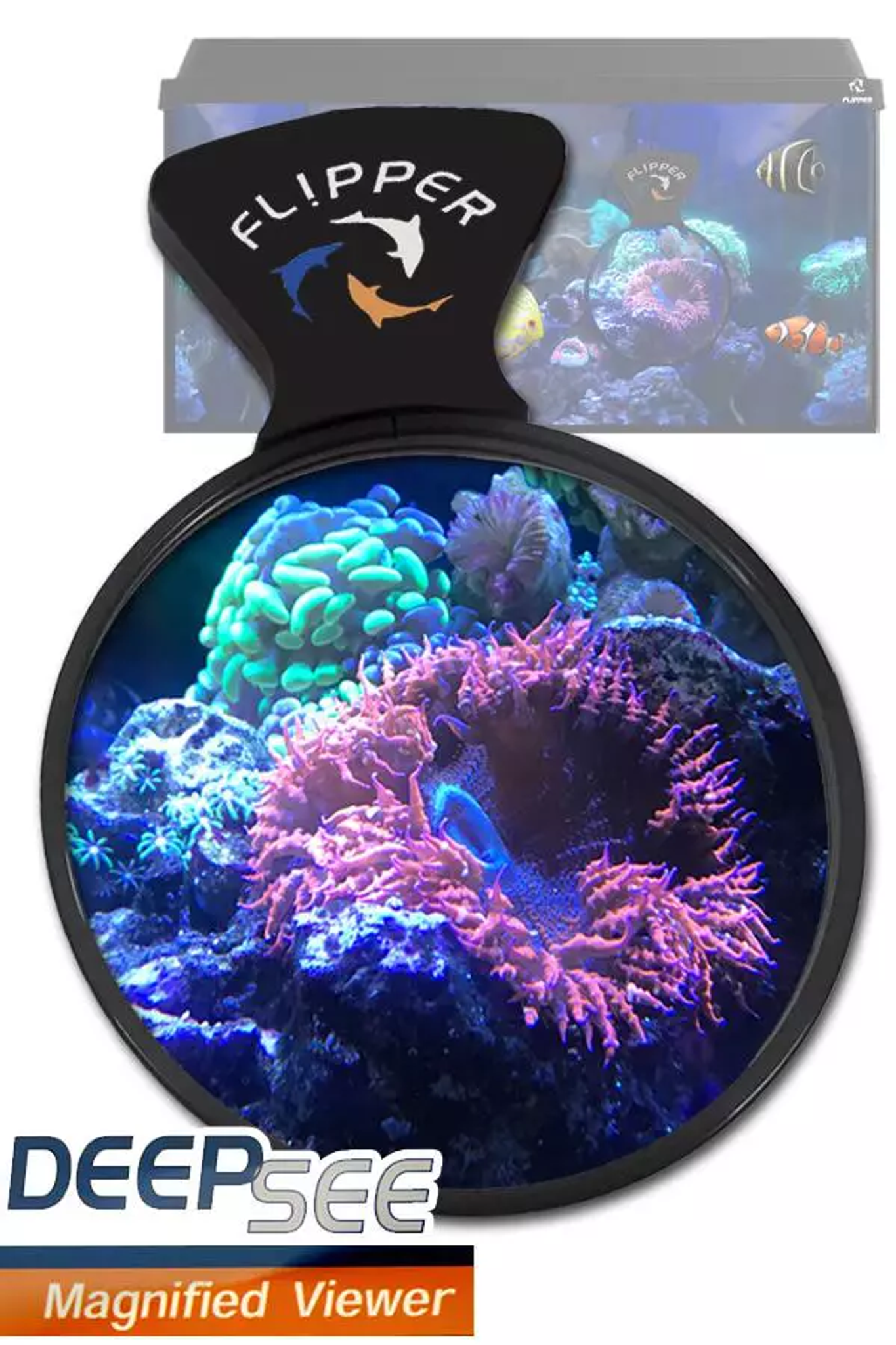 Fl!pper DeepSee Viewer 4"