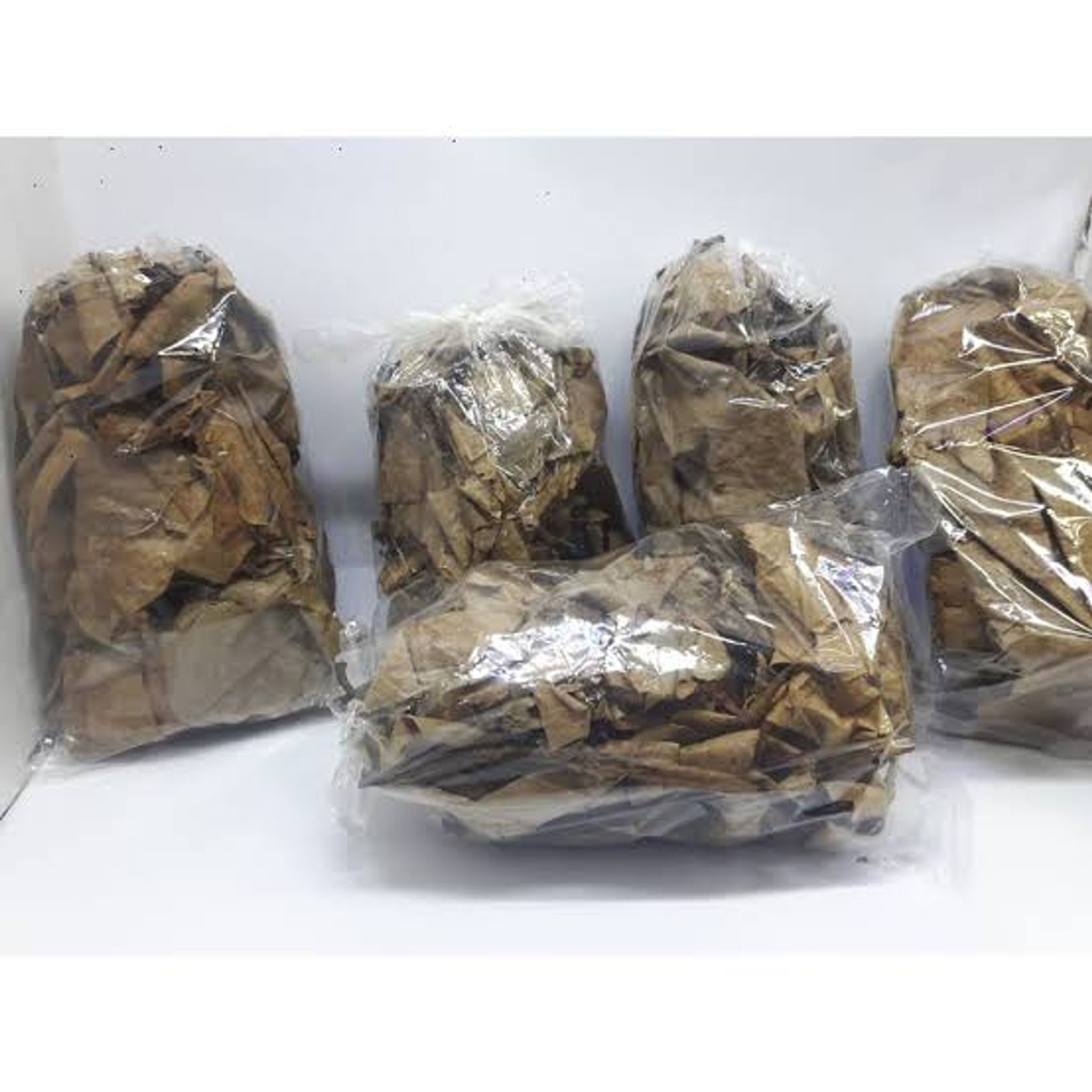 Ketapang Leaves