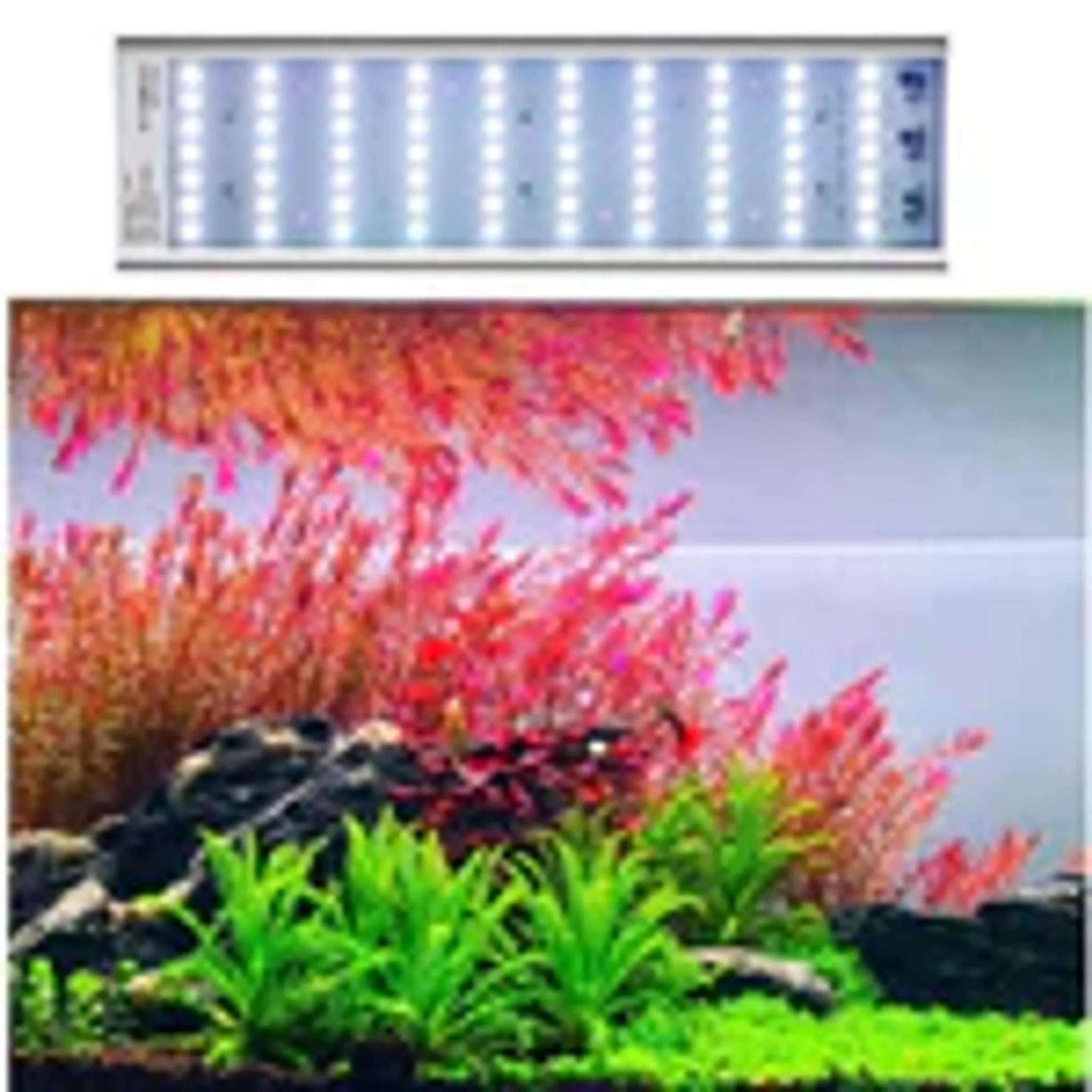 WEEK AQUA L Series RGB-UV LED Light