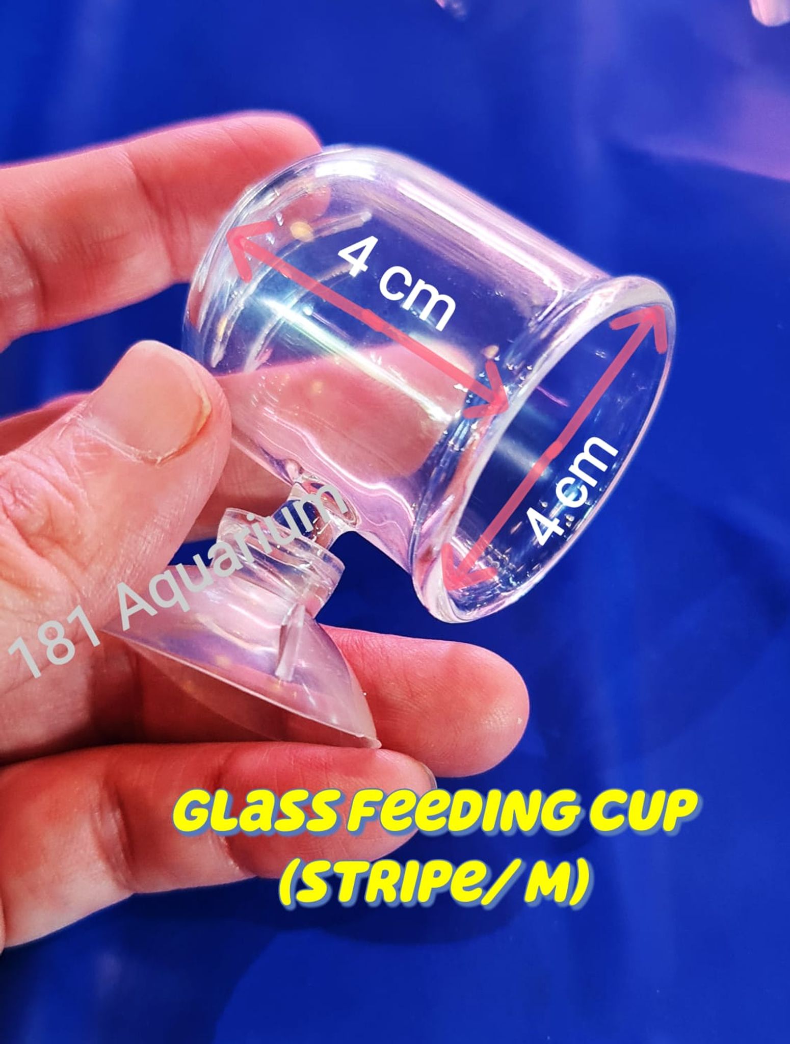 Glass Feeding Pod Fish Feeder Brine Shrimp Eggs Red Worms Food For Aquarium (S/ M/ L)