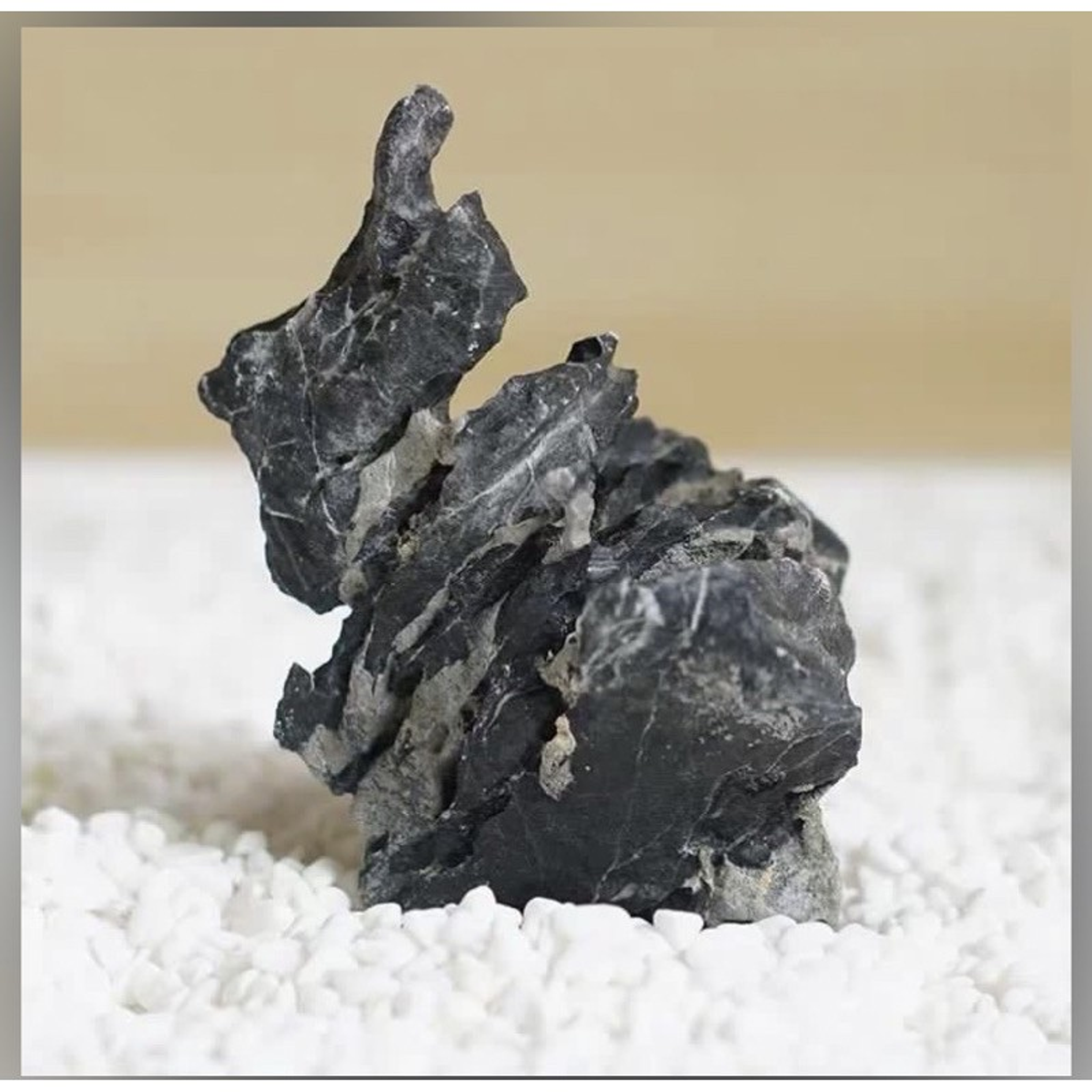 Aquascape Ryuoh stone seriyu stone hard scape| aquarium|fish tank 青龙石