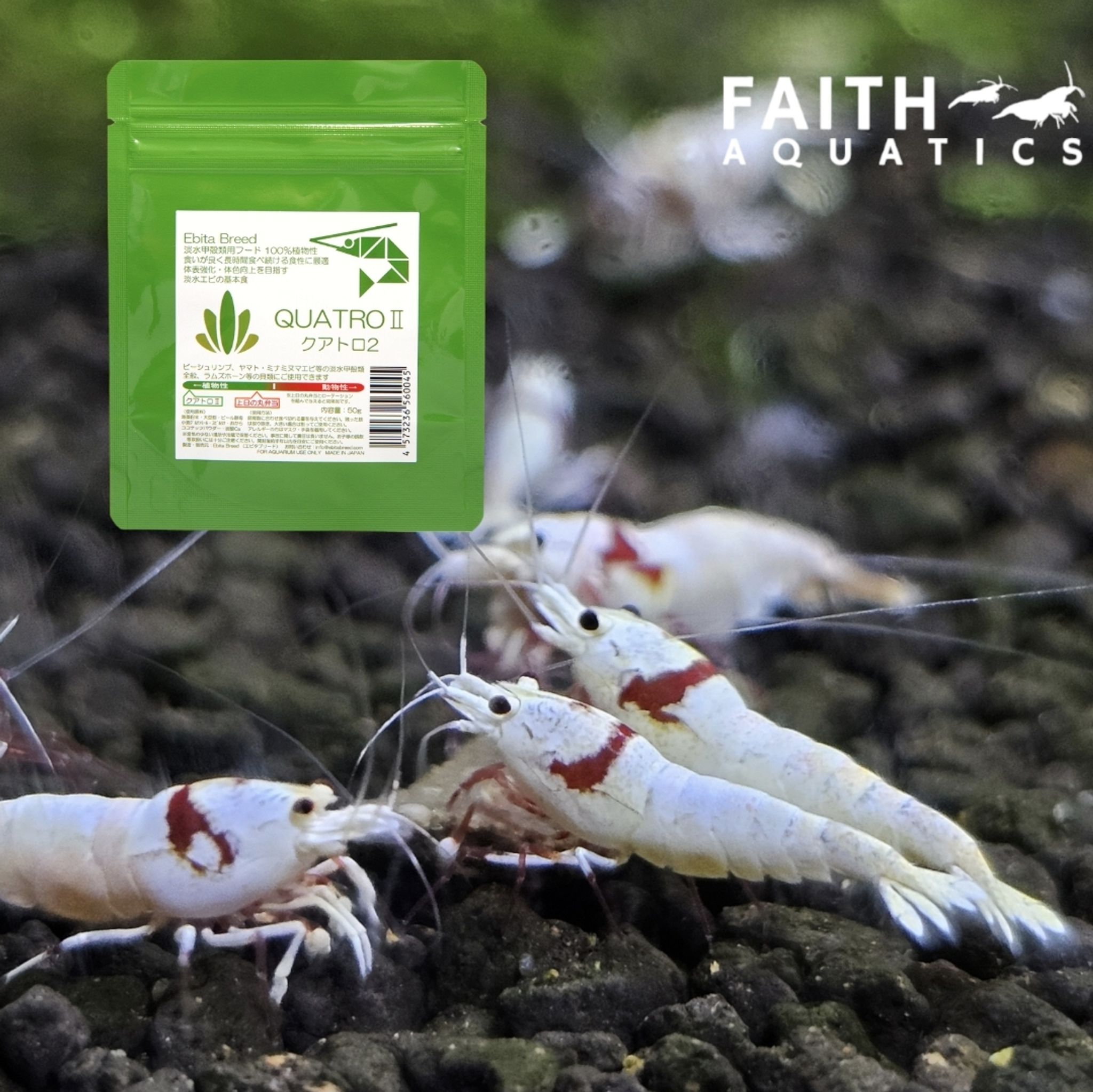 EBITA BREED QUATRO2 Japan Shrimp Food (50g)