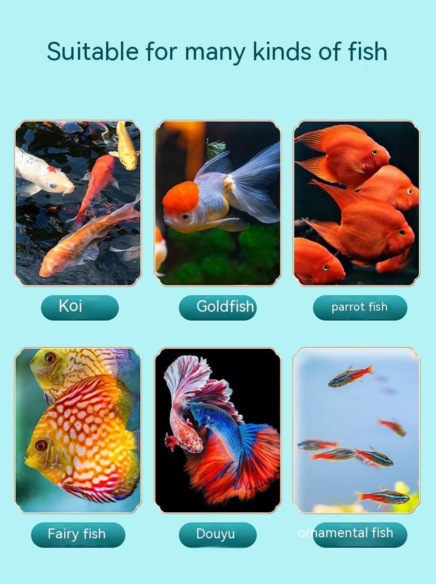 YEE KOI Food, Triple-Effect Fish Food Pellet, KOI Fish Grain To Provide Nutrition & Vitamins, Aquarium Food