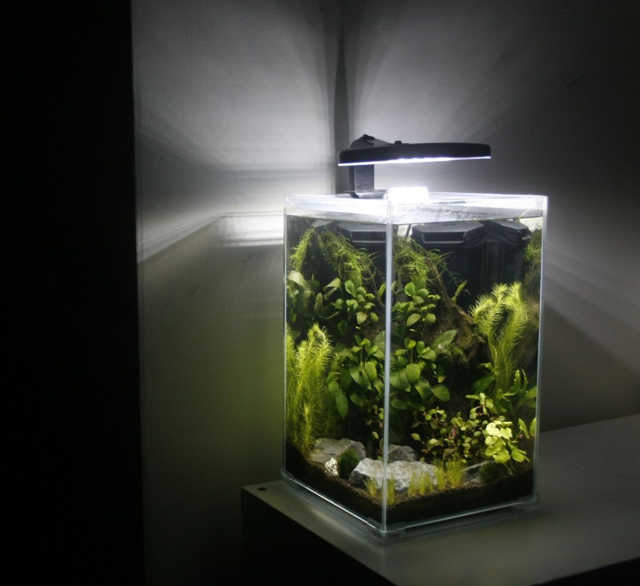 Aquacube Set (0.5 feet)