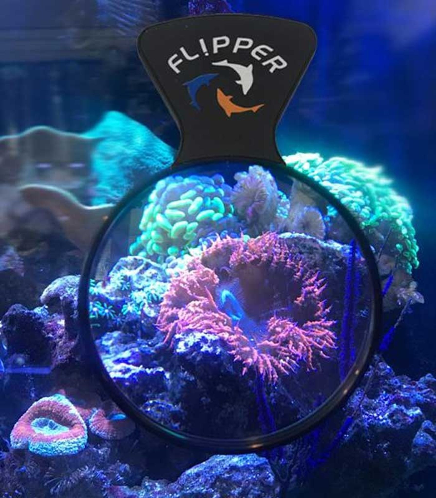 FLIPPER DEEPSEE MAGNIFIED MAGNETIC AQUARIUM VIEWER 4 INCH