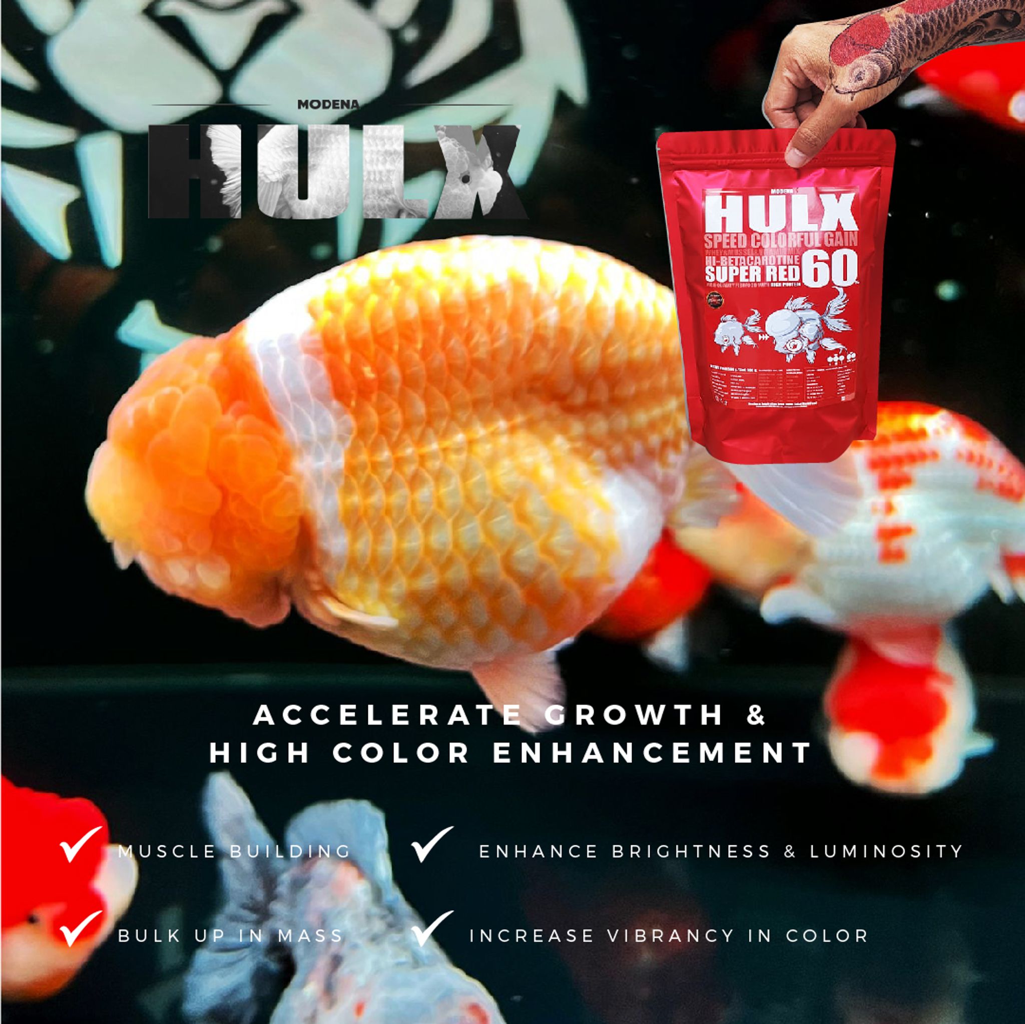 HULX RED Goldfish Food For Huge & Colorful Gain, Mussel & Whey & Vitamin Mix Super Red 60 + Astaxanthin 6%